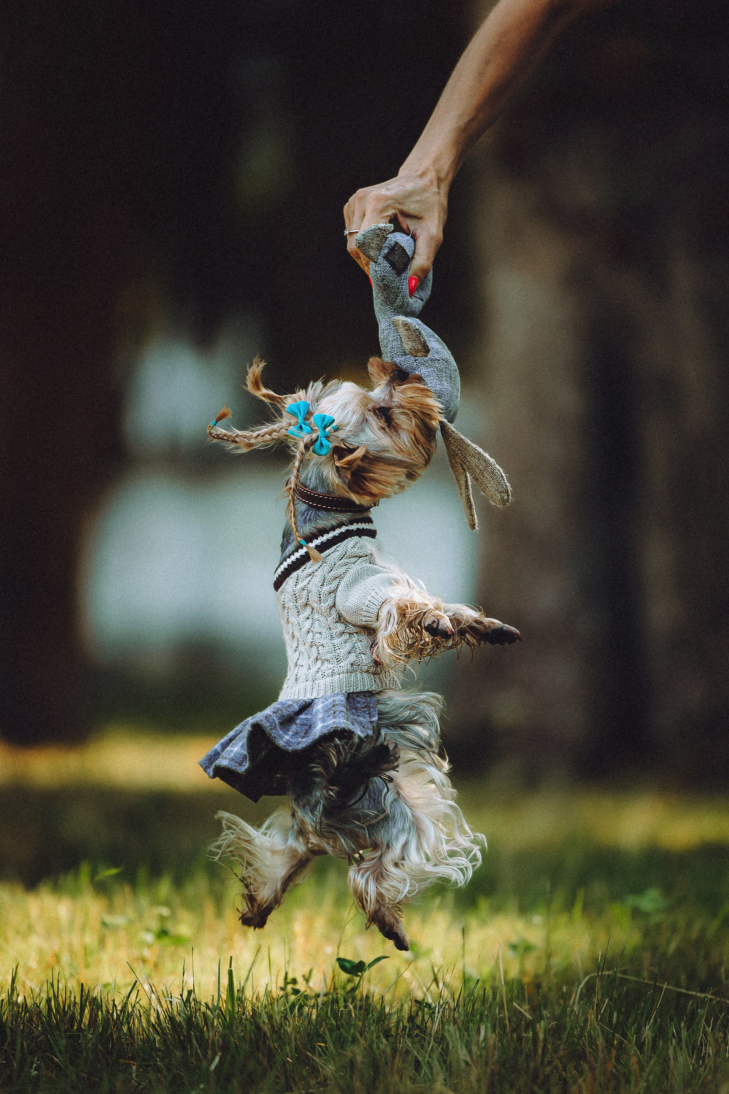 Дженни, Оливия и их семья