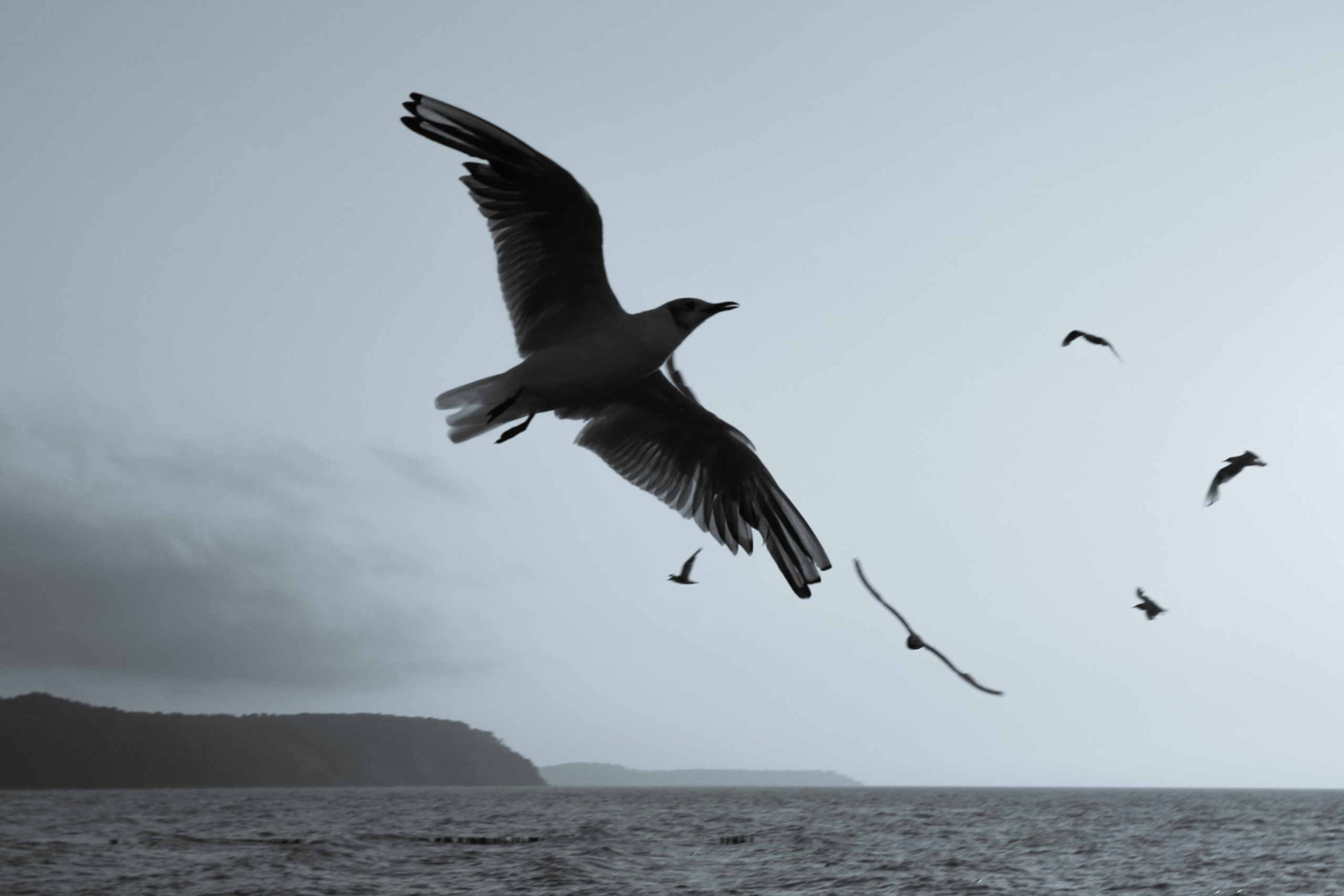 Автор: Кир Пьянков