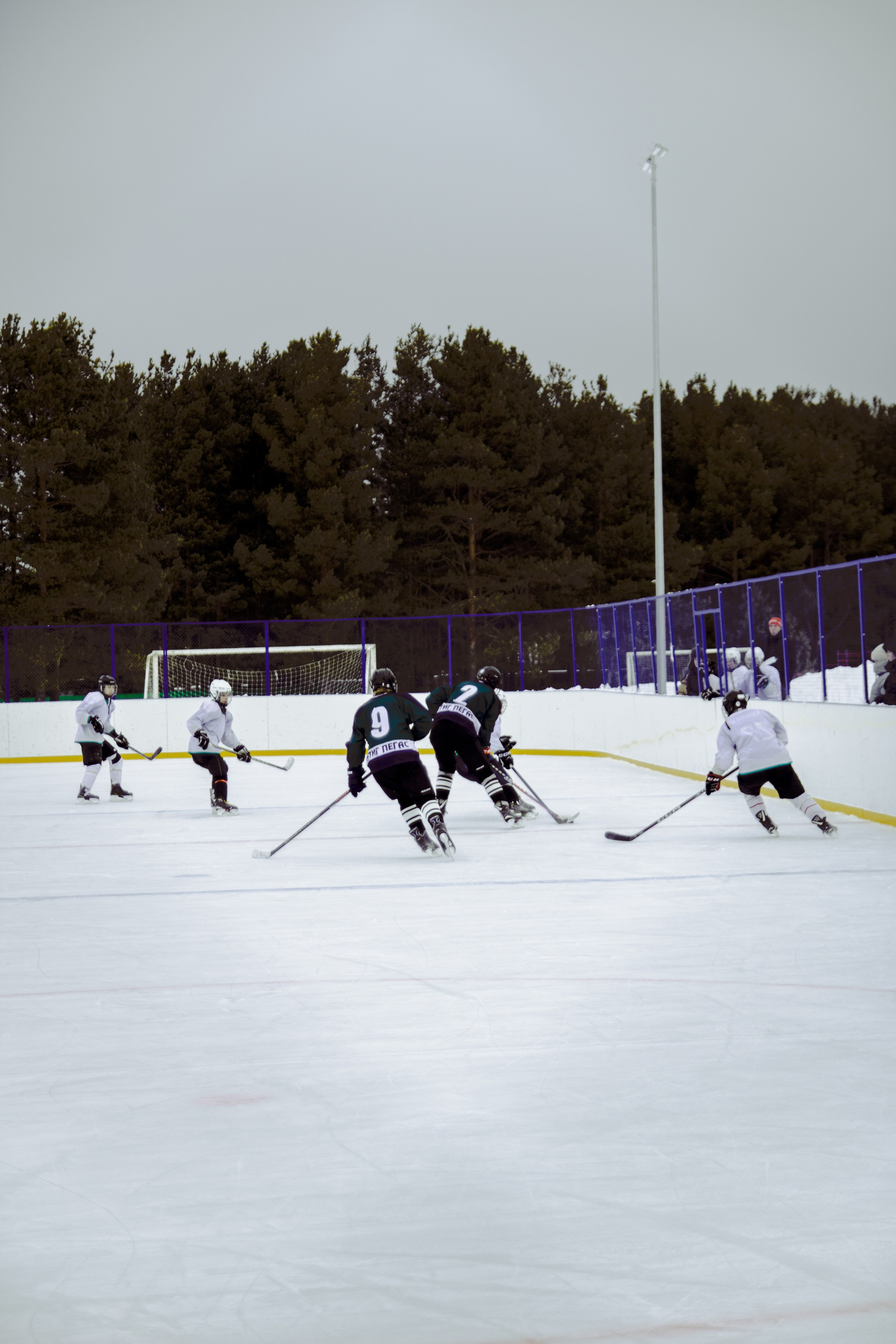 Хоккей 29.12.2024