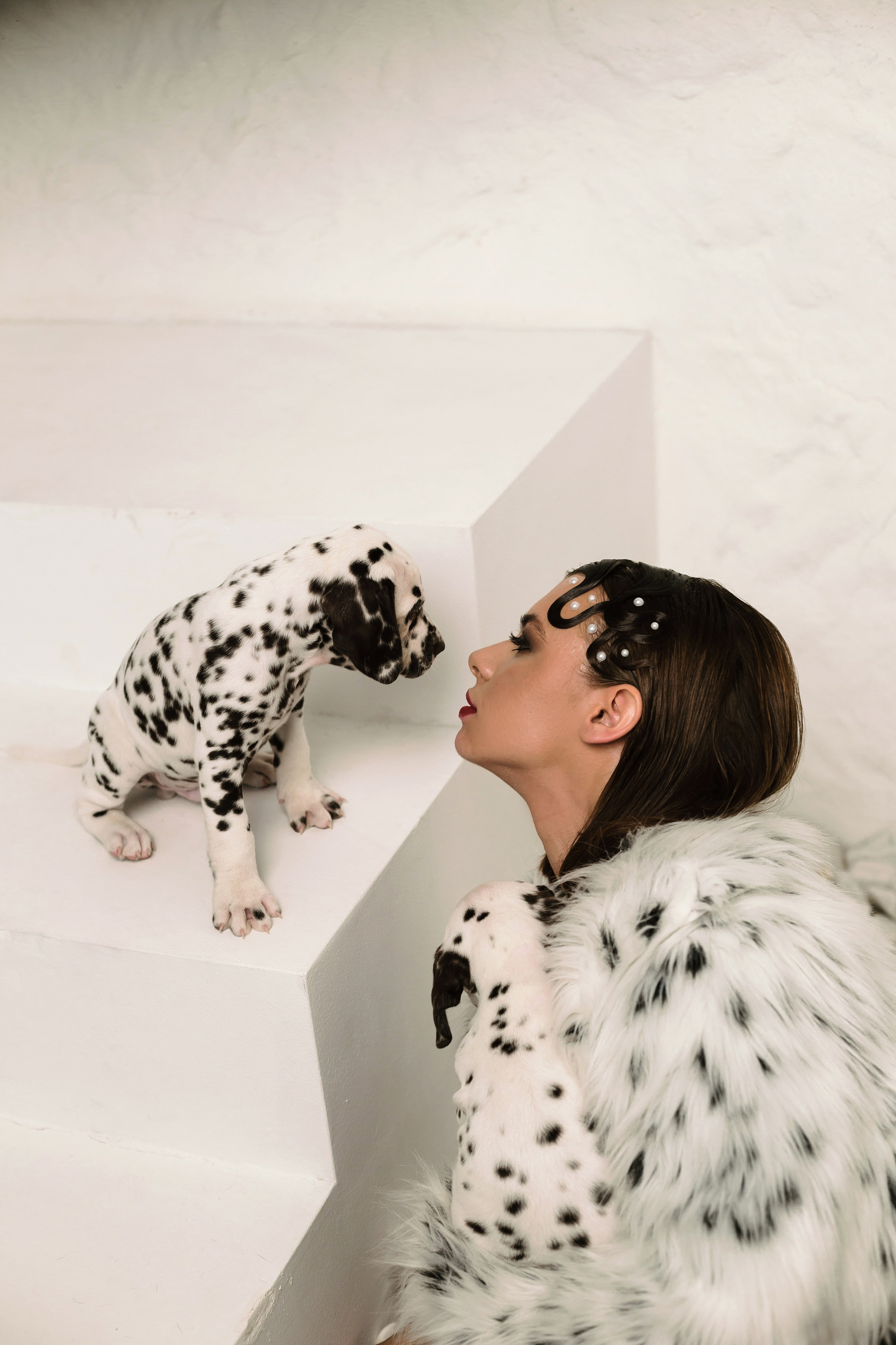 Md:@m_korsunenko Hair: @aleksandrova.hair Org: @creative_photoday Loc: Ark studio | фотостудия СПБ Dogs: vk.com/club2372836