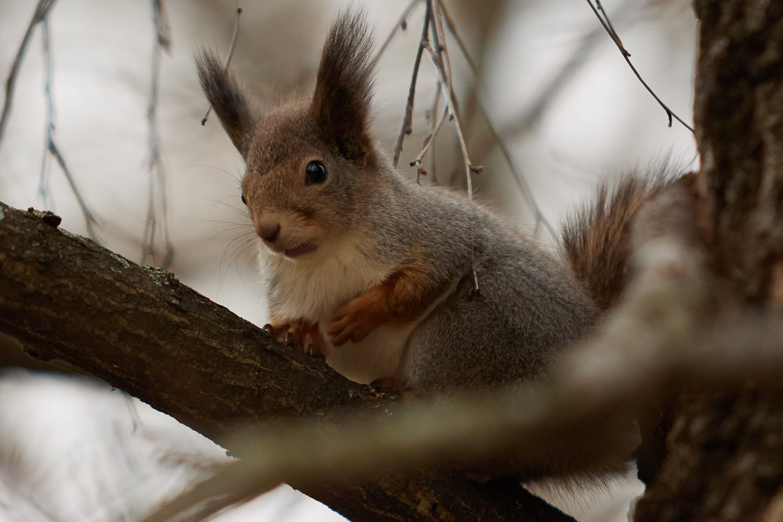 Зеленое кольцо москвы 2024. Спортивный и репортажный фотограф Андрей Баскаков