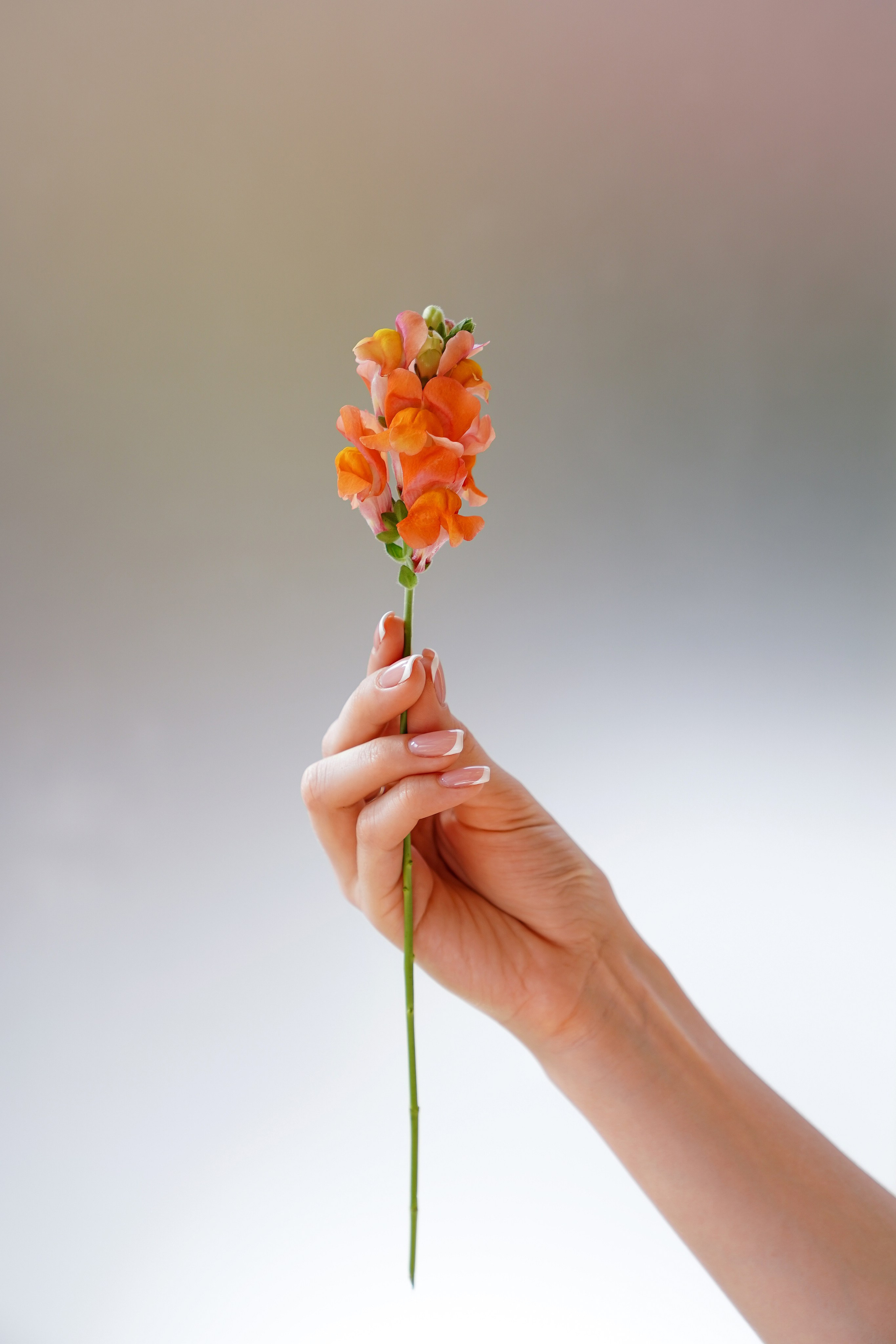 Garden Rose. Контентный и свадебный фотограф в Краснодаре и Сочи Елена Плотникова