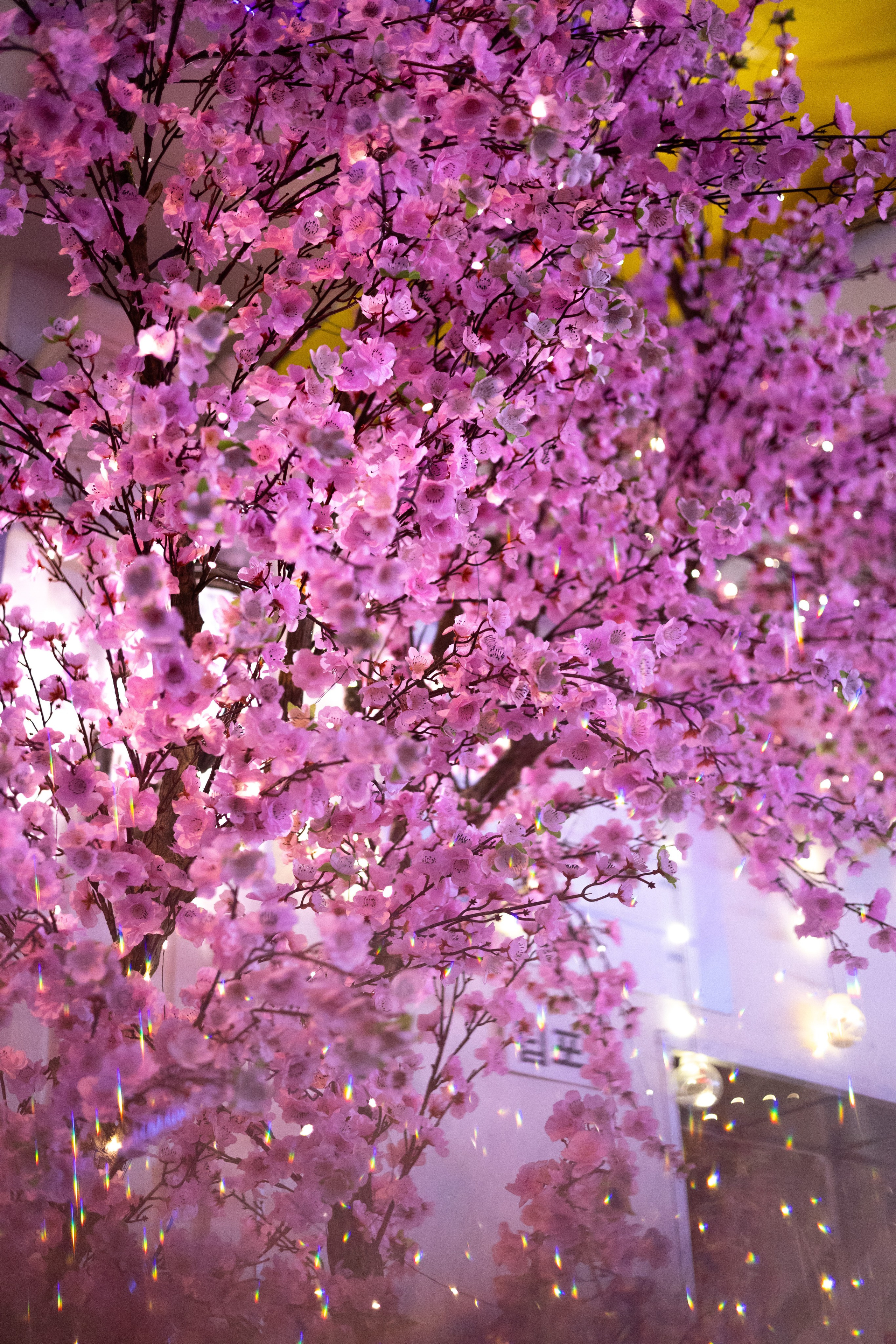 Ho Chi Minh, Vietnam | Part 1| 2025. Art Photographer