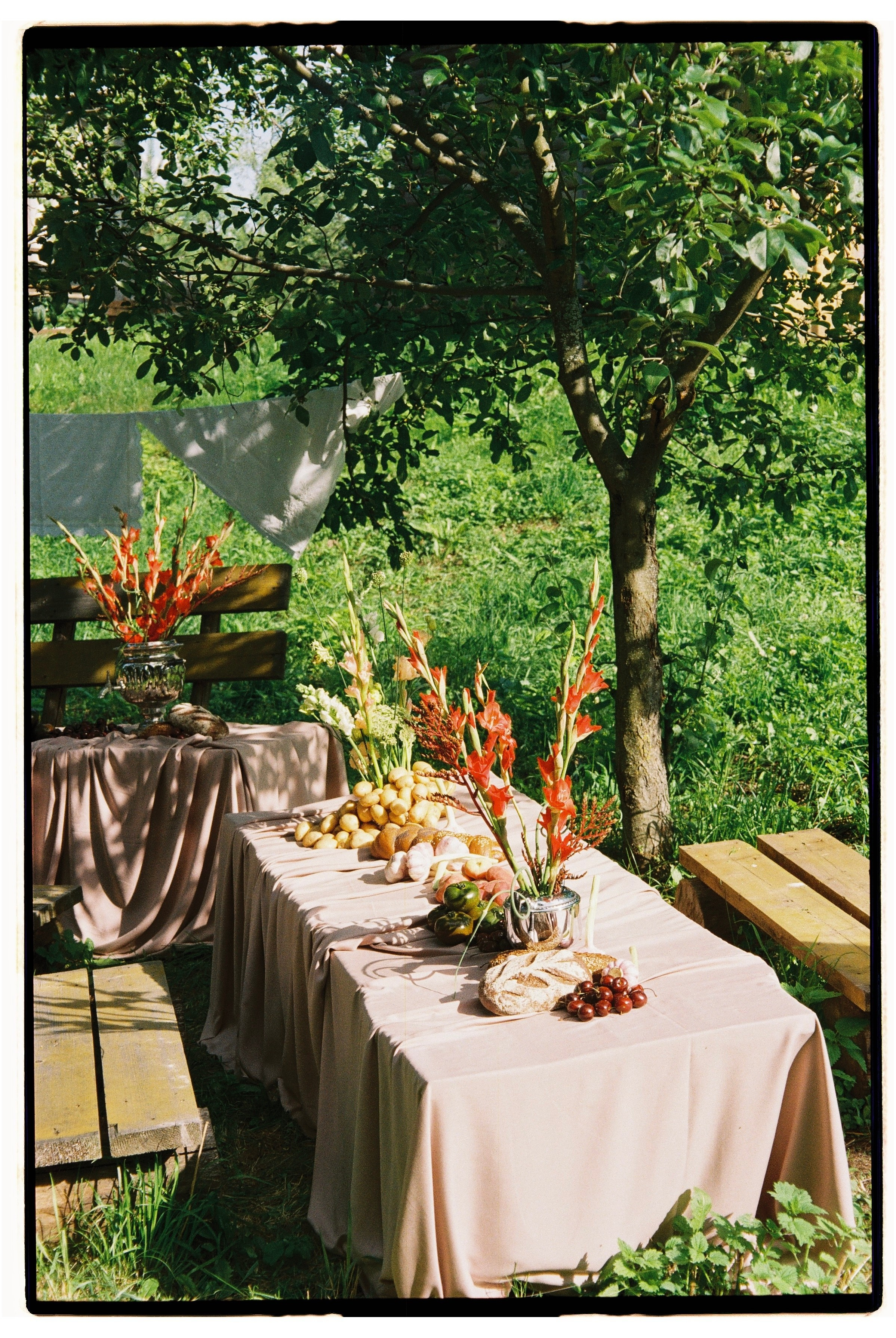 Диана и Саша, свадьба на даче. Фотограф любви в городе Казань