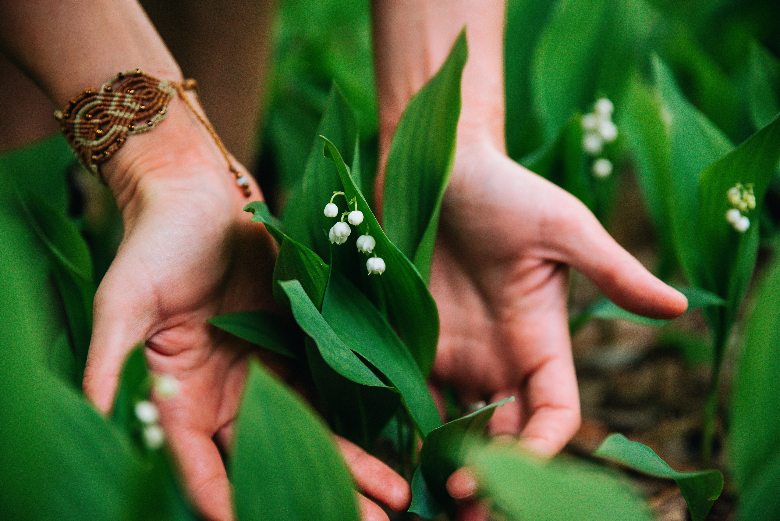 Дарья и цветущий май. Главная