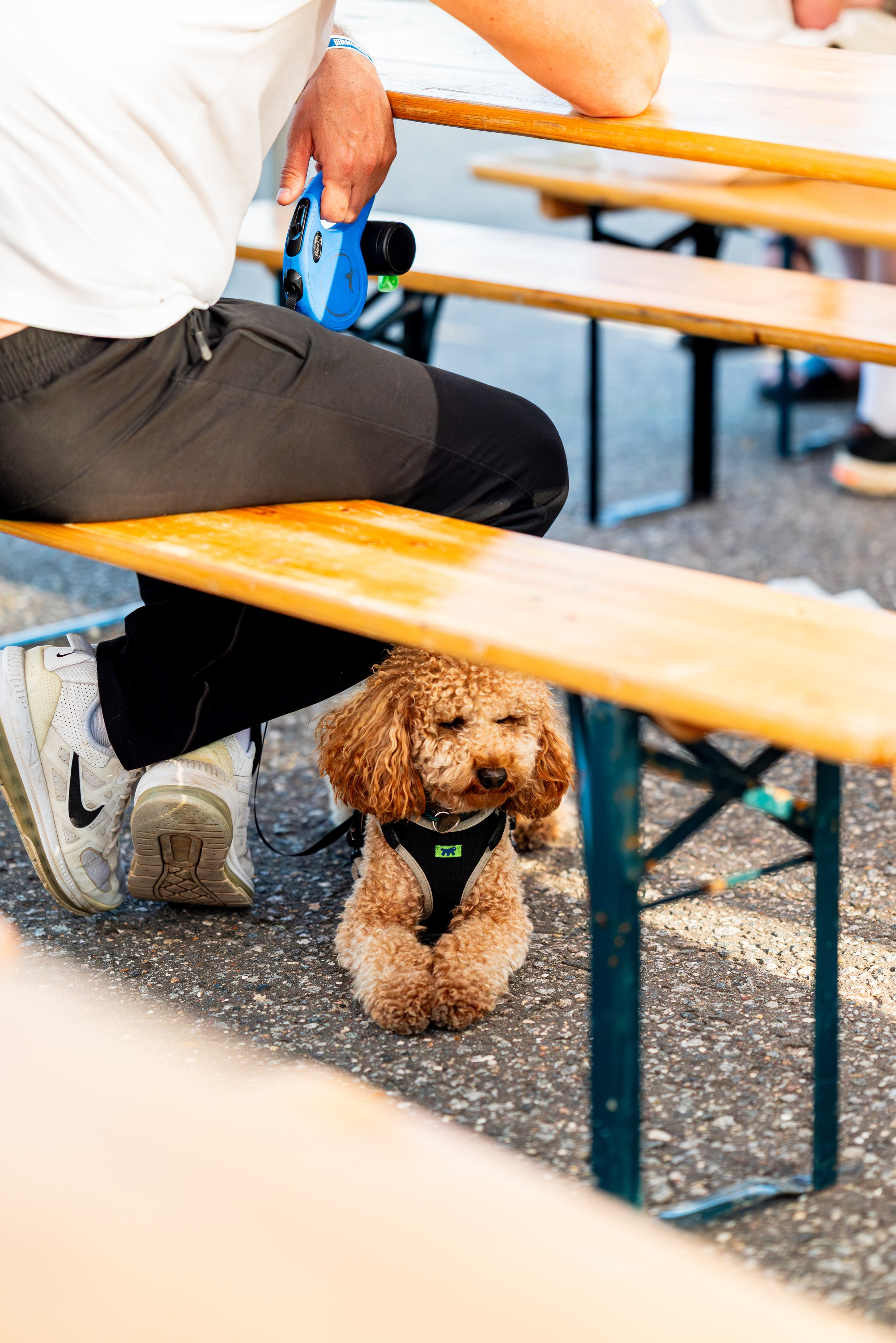 BIMMERDAYS'25. Автомобильный фотограф Александра Рузиева aka Ju1cyFlex