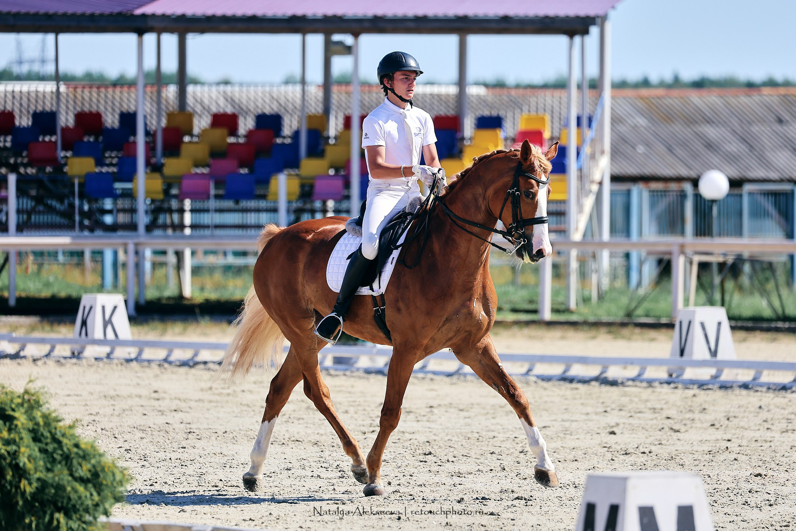 Личный ЧР по выездке, КСК Конаковские конюшни | 08'2023. Репортажный фотограф и ретушер в Москве Наталья Алексеева