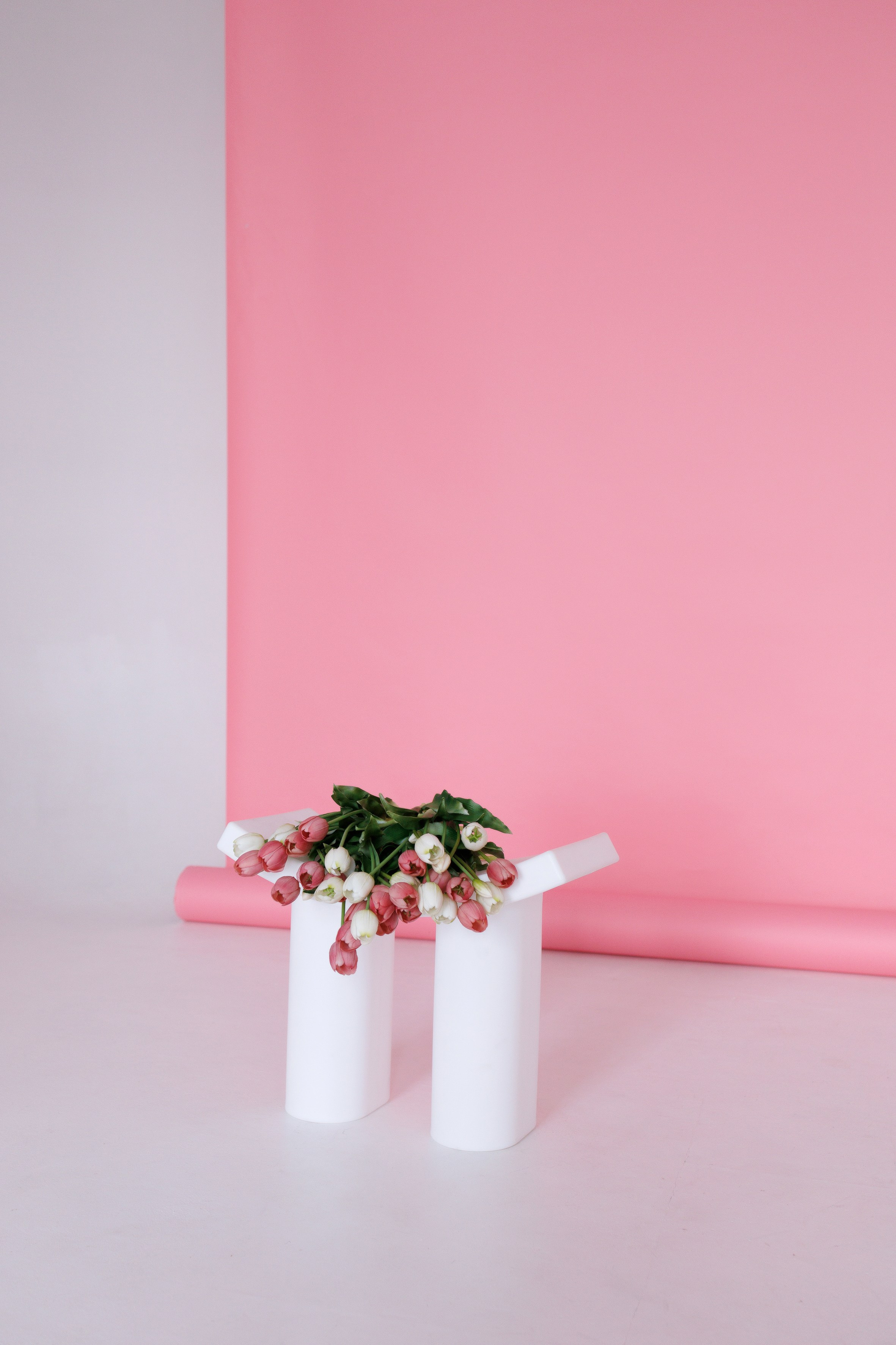 Циклорама. Фотостудия ART BAZA Тверь