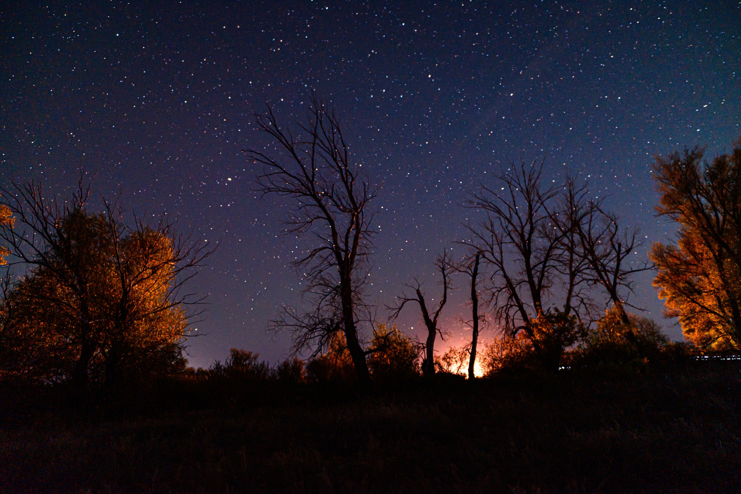 Пейзажи. Фотограф в Уральске | Трищенков Гордей
