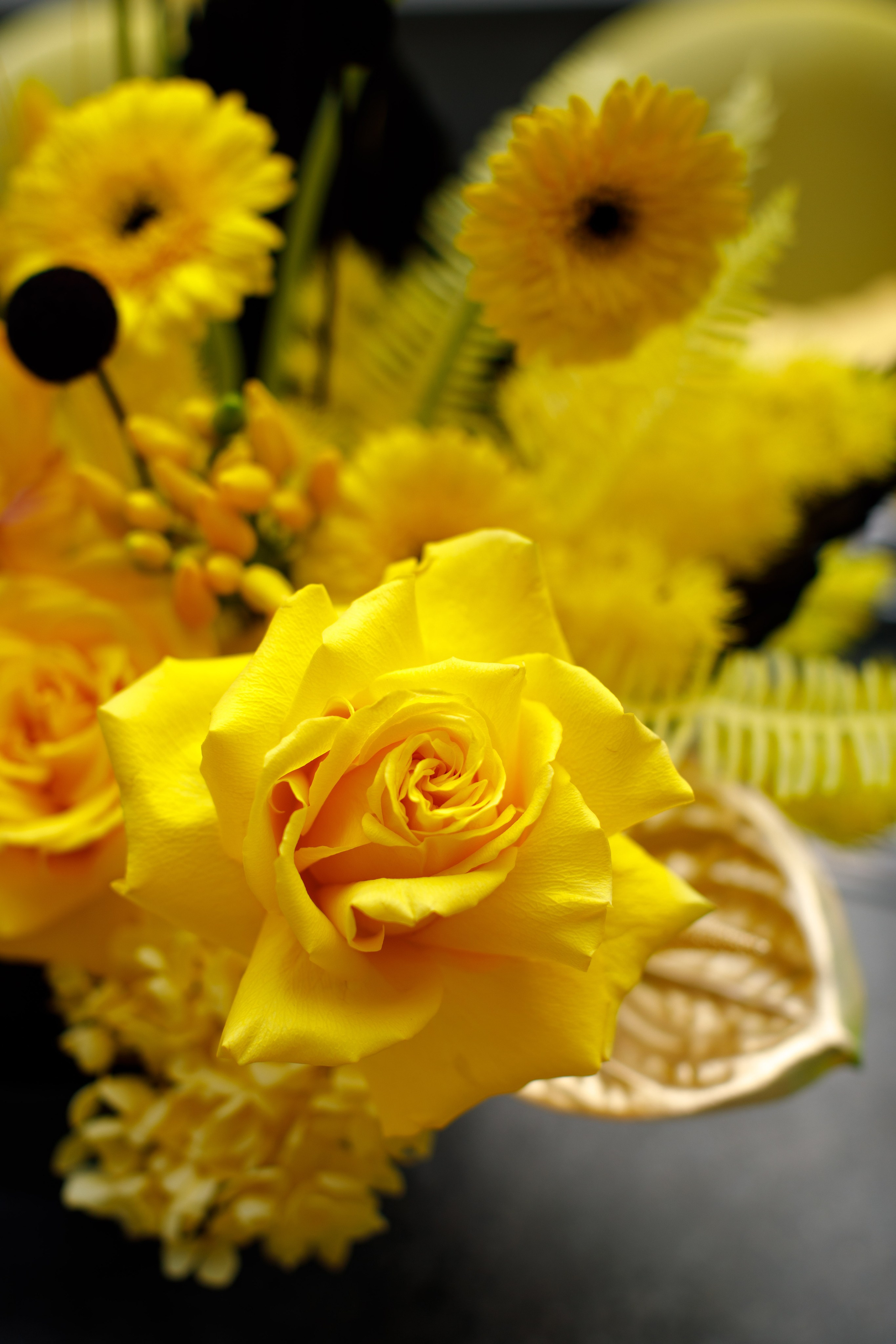 Разрушители | 18.08.2025 | г. Москва. МашаШарики | Декоратор | Москва