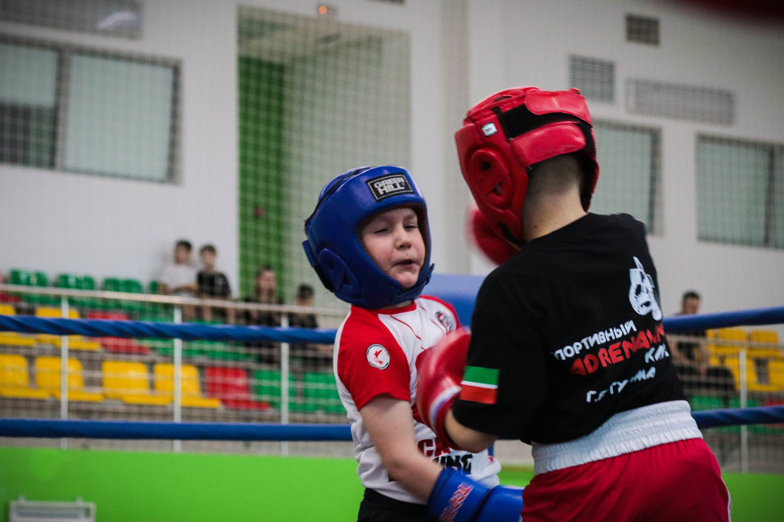 Туртир по кикбоксингу. Фотограф и видеограф в Бугульме Аня Трутнева