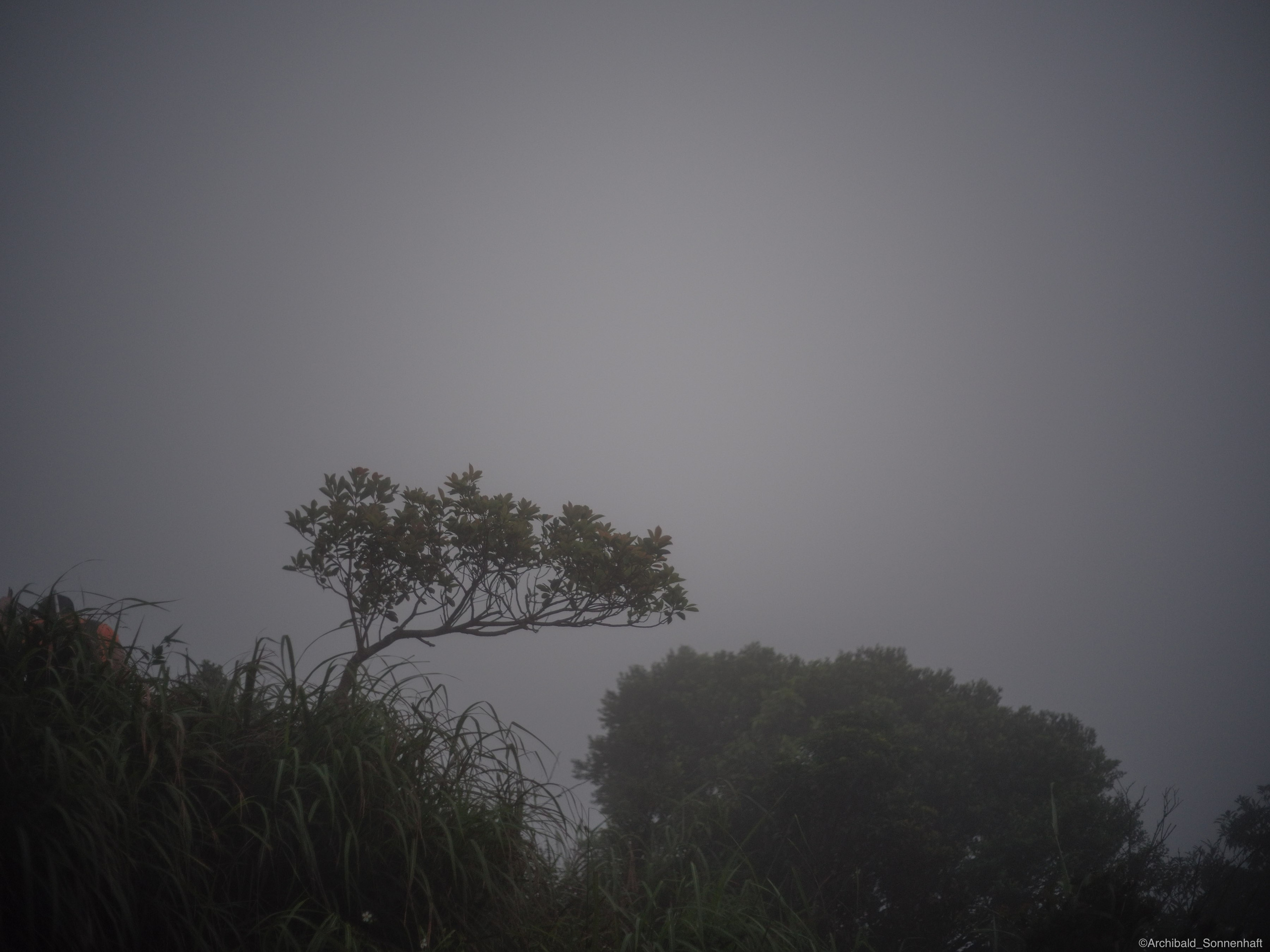 Shenzhen hike. Photographer in Guangzhou, China. Archibald Sonnenhaft