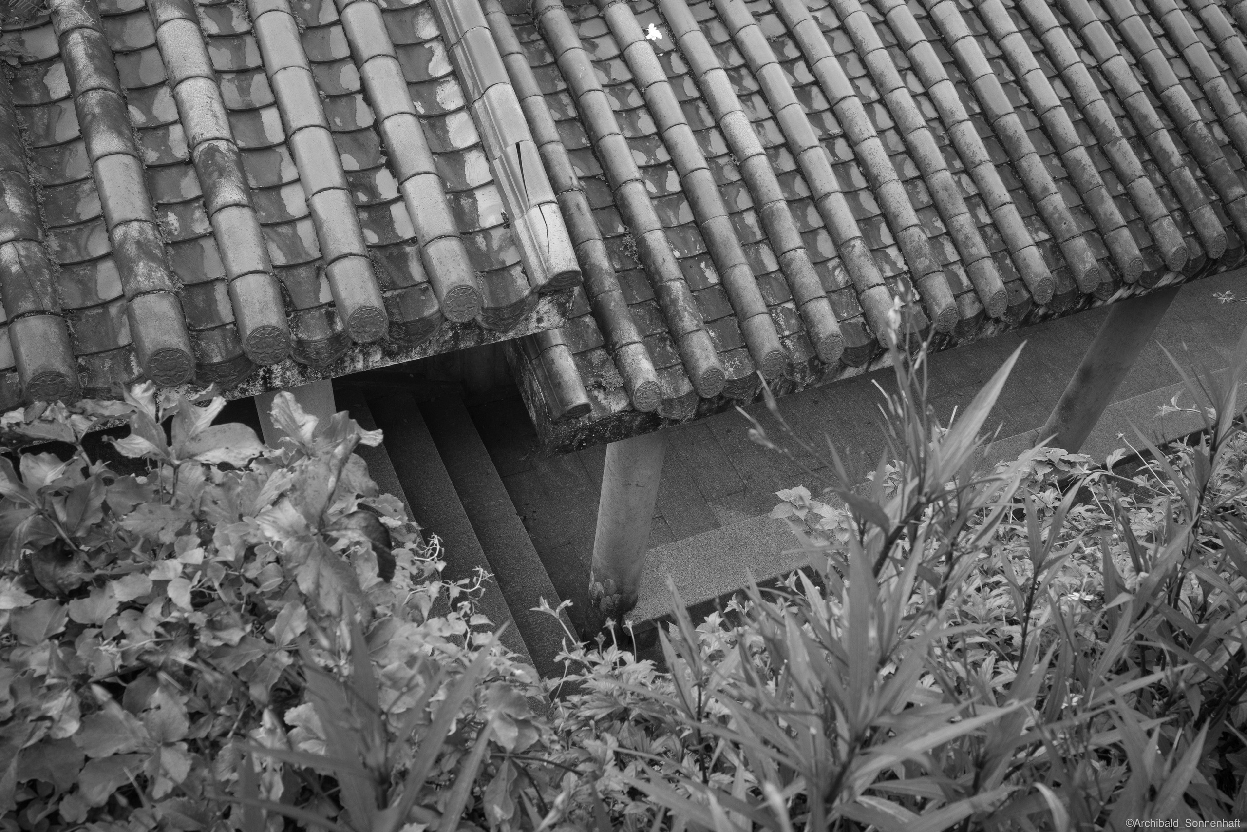 Shenzhen hike. Photographer in Guangzhou, China. Archibald Sonnenhaft