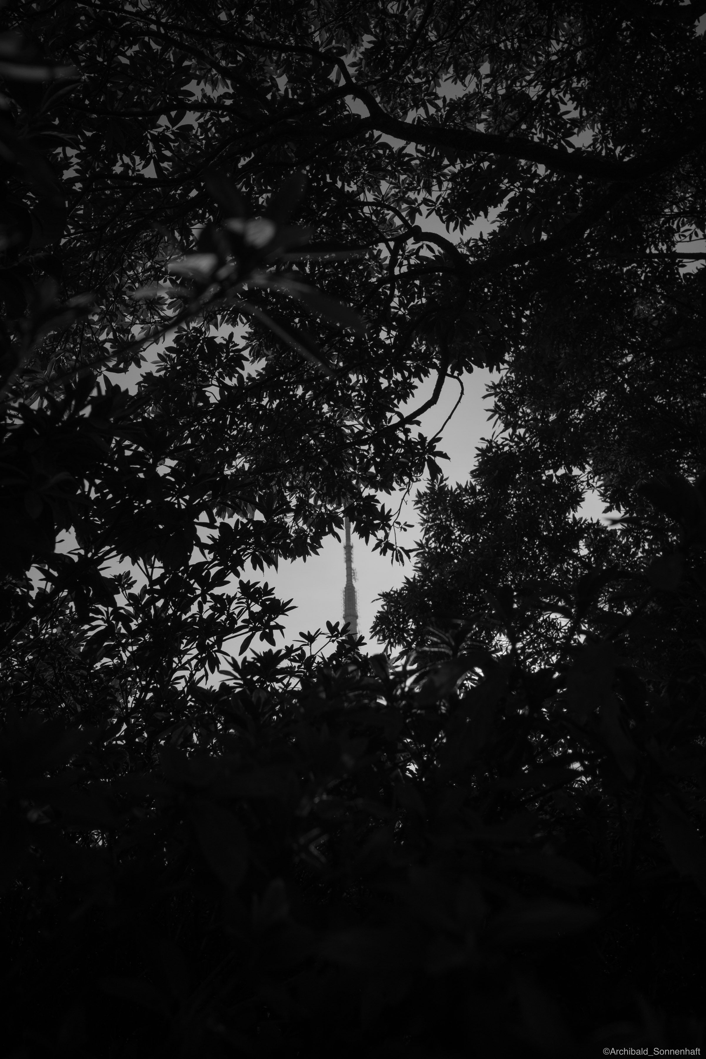 Shenzhen hike. Photographer in Guangzhou, China. Archibald Sonnenhaft