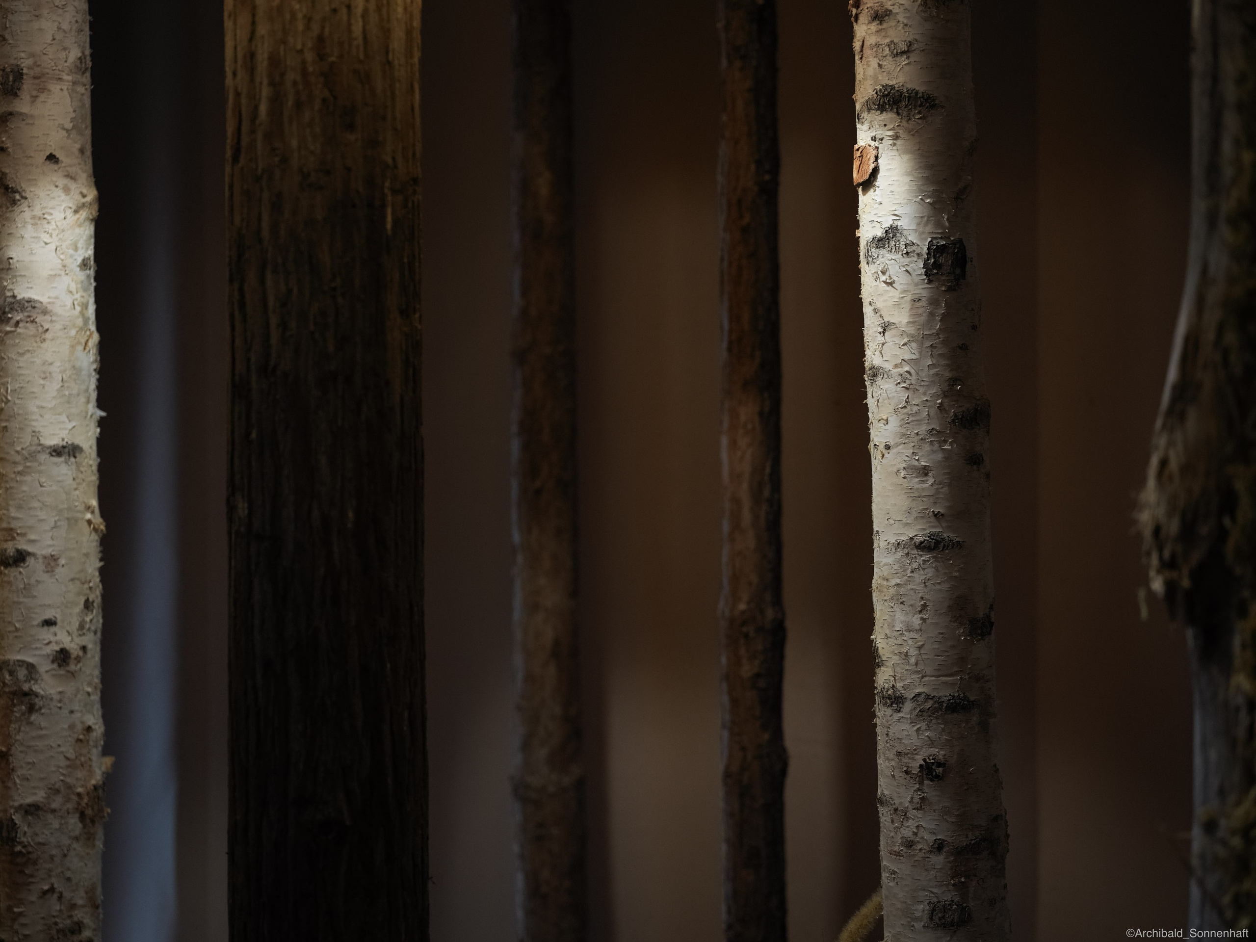 Banya1 in GZ. Photographer in Guangzhou, China. Archibald Sonnenhaft