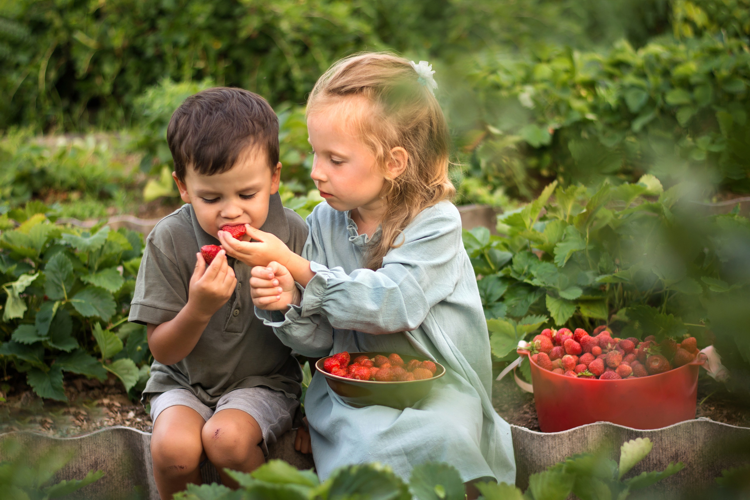 Детская летняя фотосессия в Сыктывкаре детский фотограф лето Сыктывкар. Фотограф новорождённых детский фотограф Сыктывкар Наталья Линдт