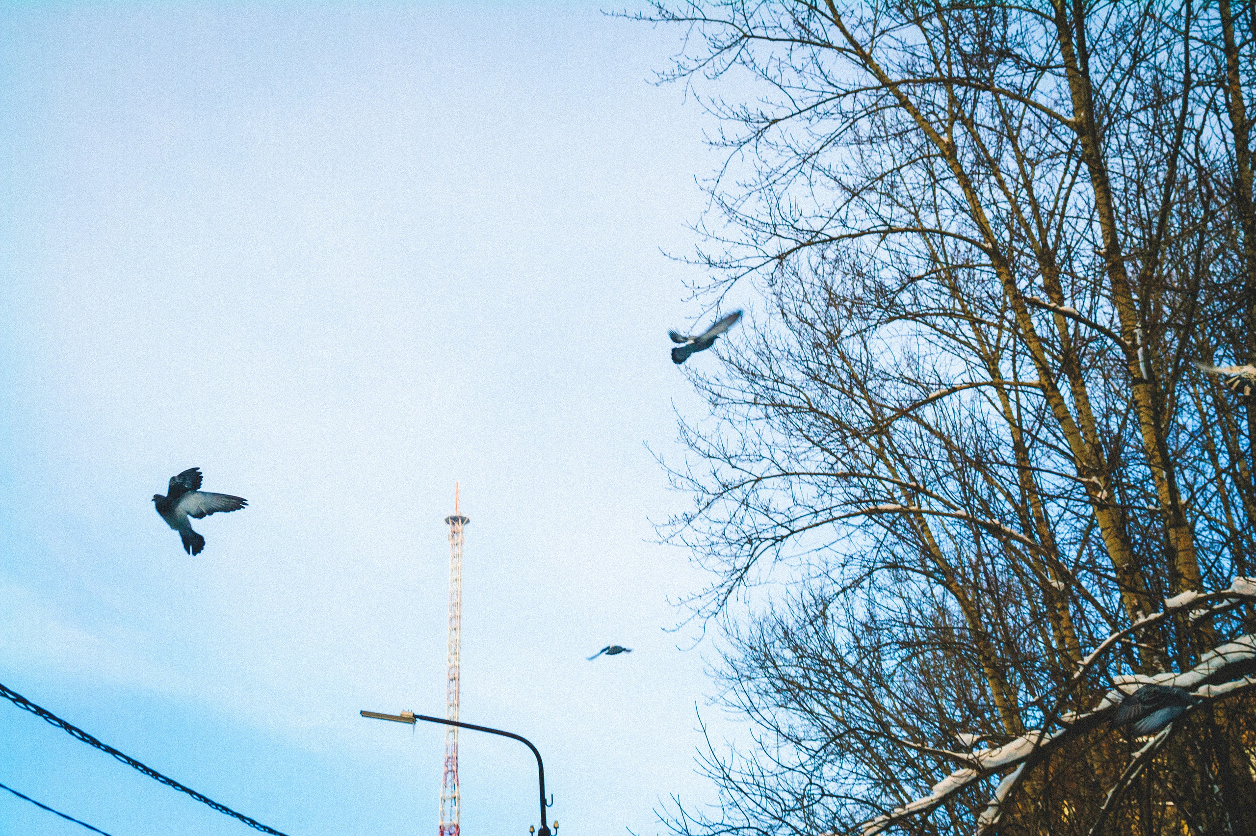 Солнечный Час. Den Mirov — Фотограф, Музыкант