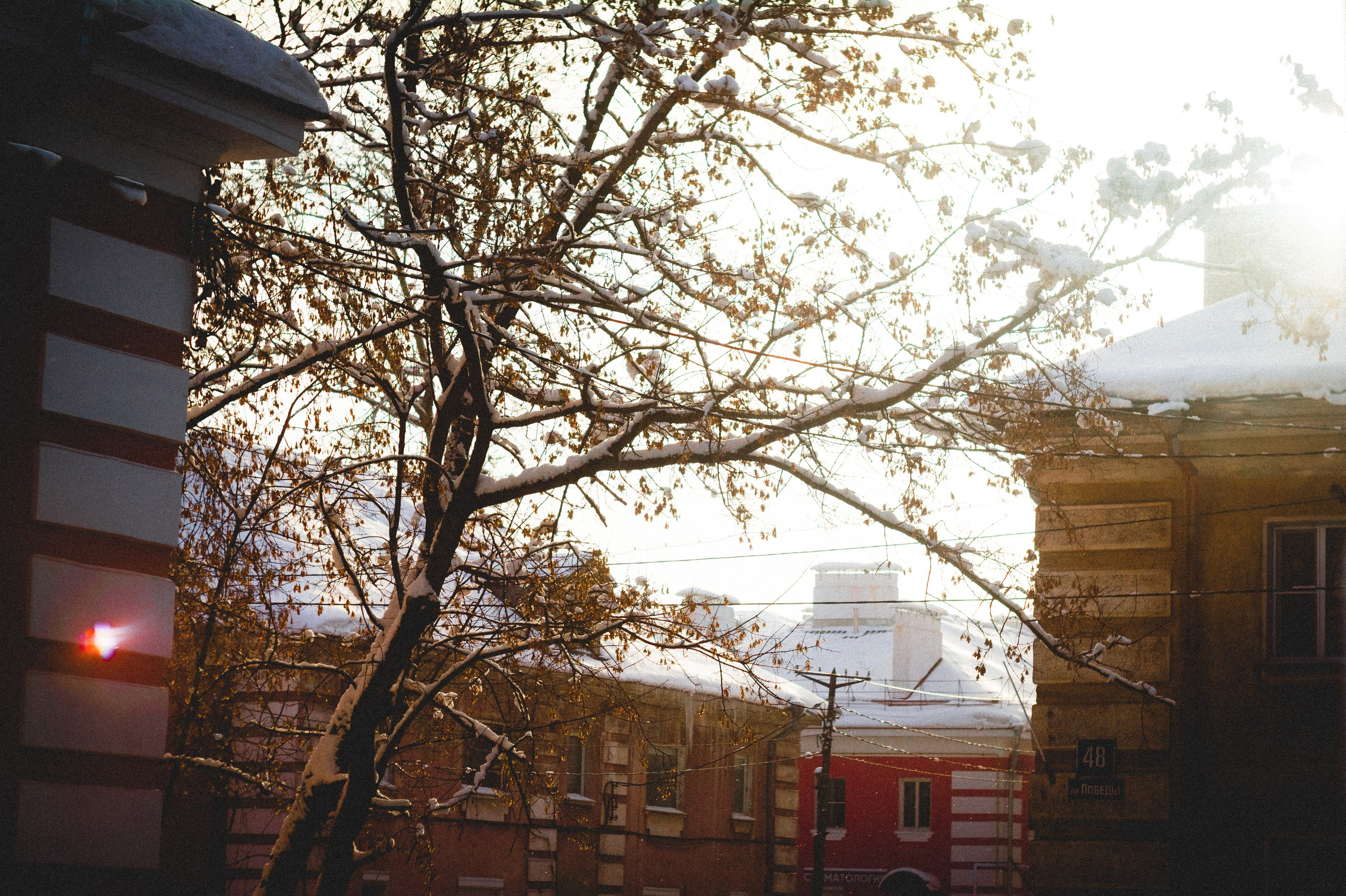 Magnetic storm. Den Mirov — Photographer, Musician