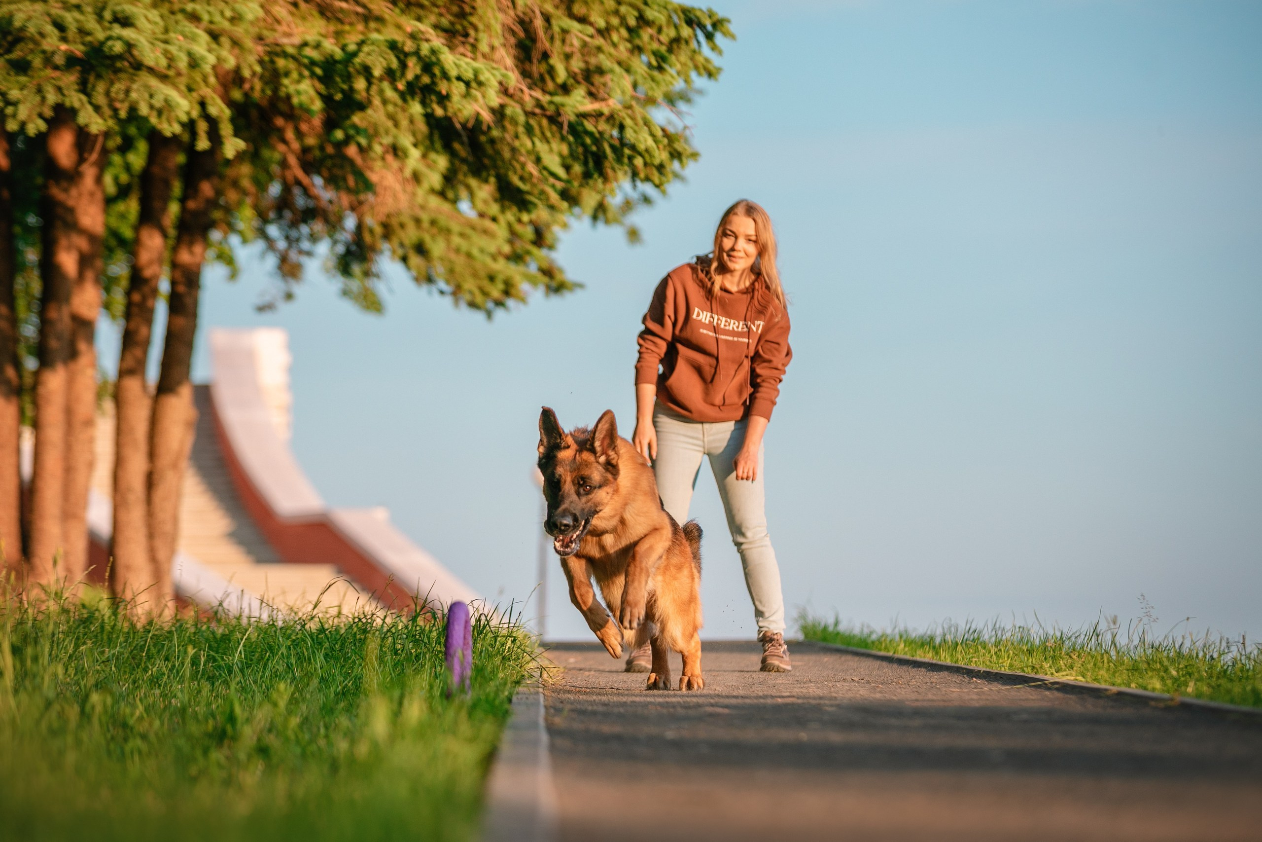 НО Расмус. Рассвет. Фотограф анималист Кузнецова Анна Нижний Новгород