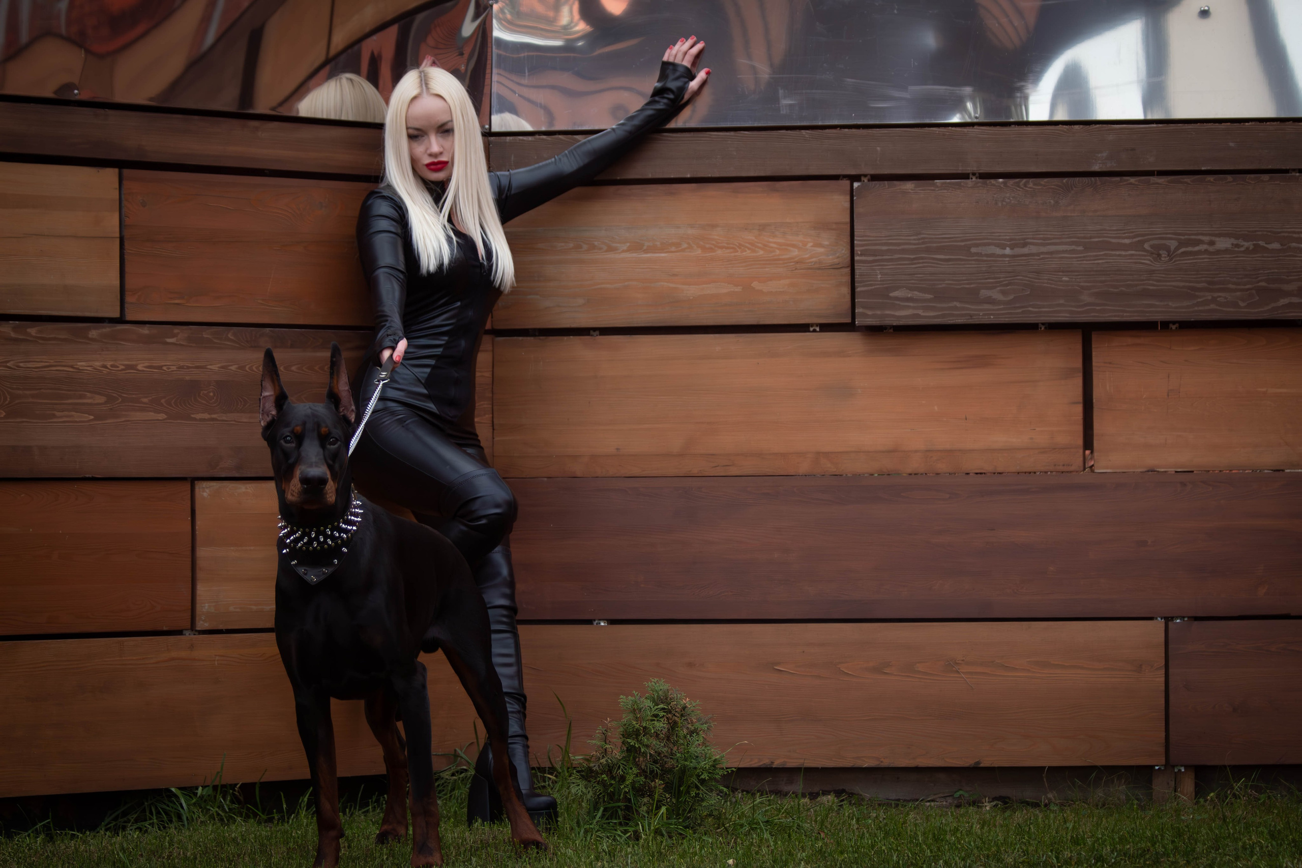 Фотосессии с животными Тула. Фотограф анималист — Тула, Москва