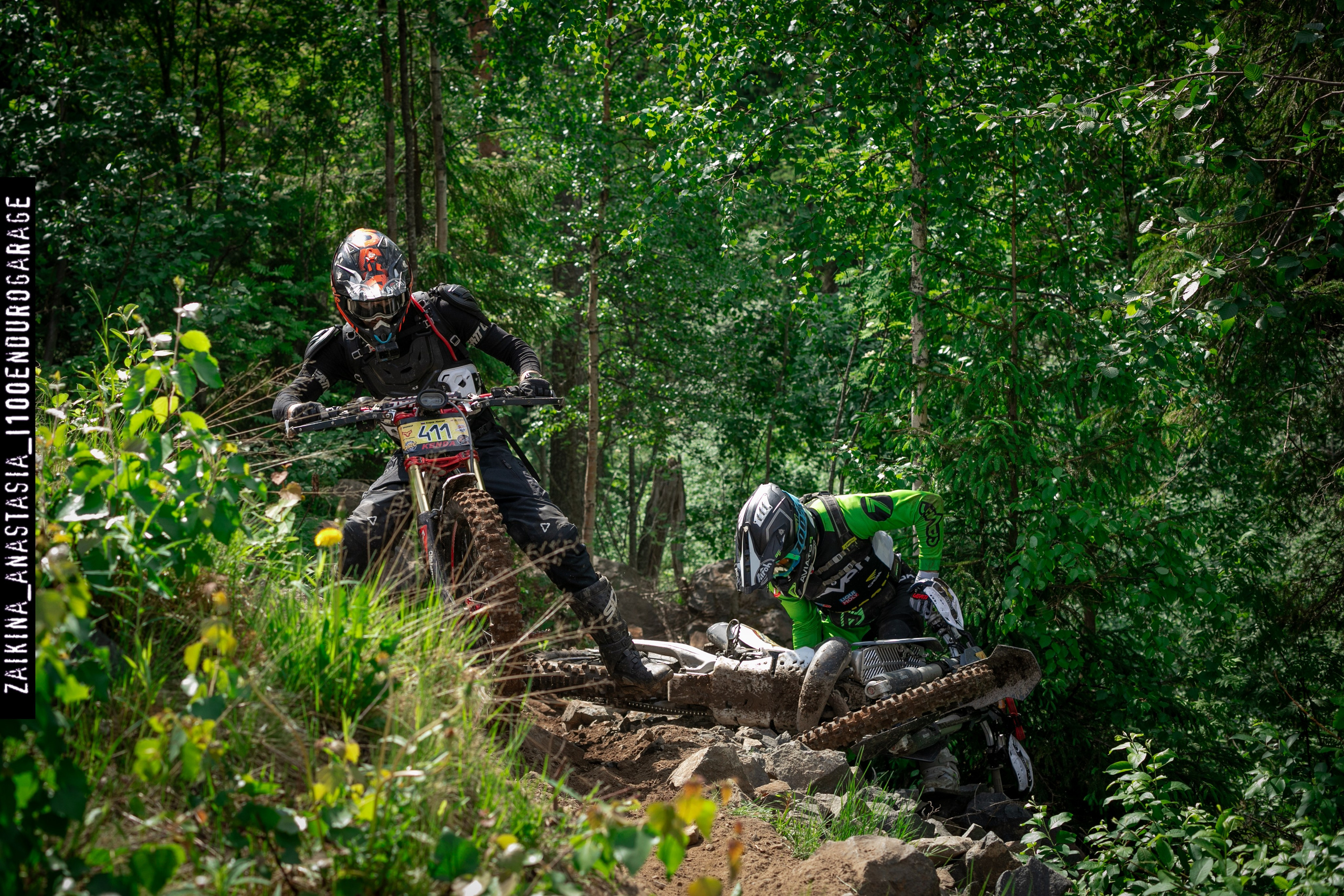 Шустрая Белка 2024. Фотограф Заикина Анастасия