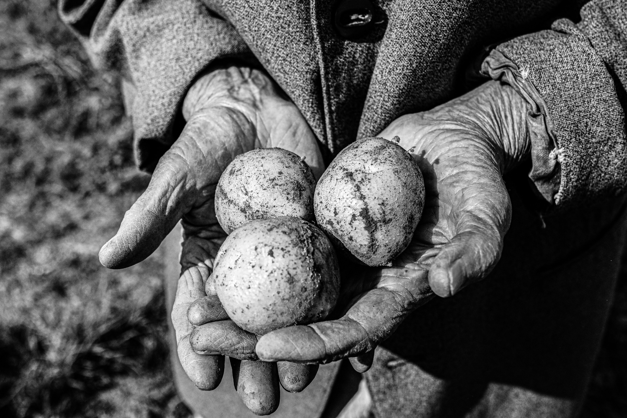 СКВОЗЬ ВРЕМЯ. Ekaterina Ageeva