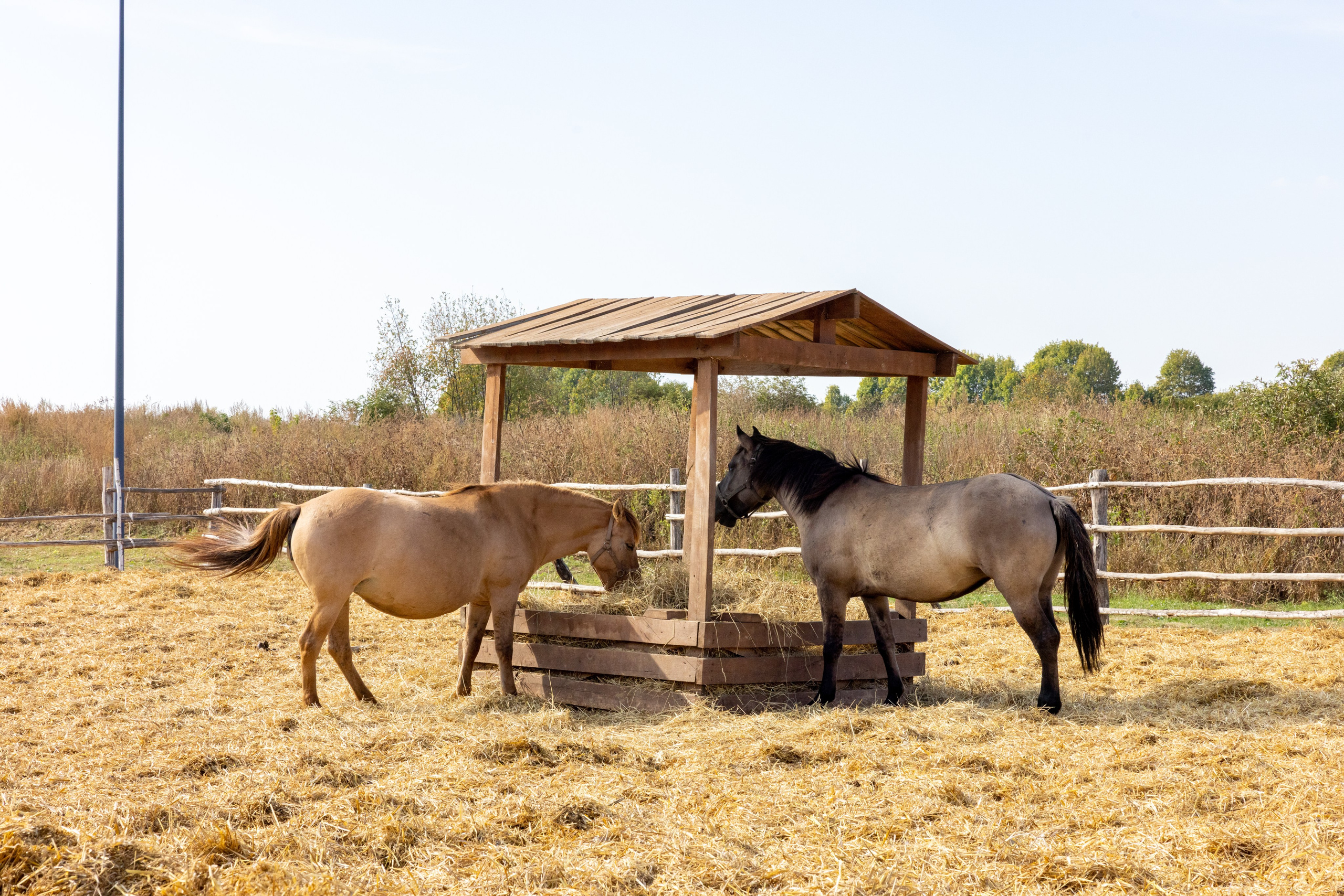 Поездка на поле Кулеково. Фотограф в Туле Крупский АнДРей. Фотостудия «КАДР71» в Туле