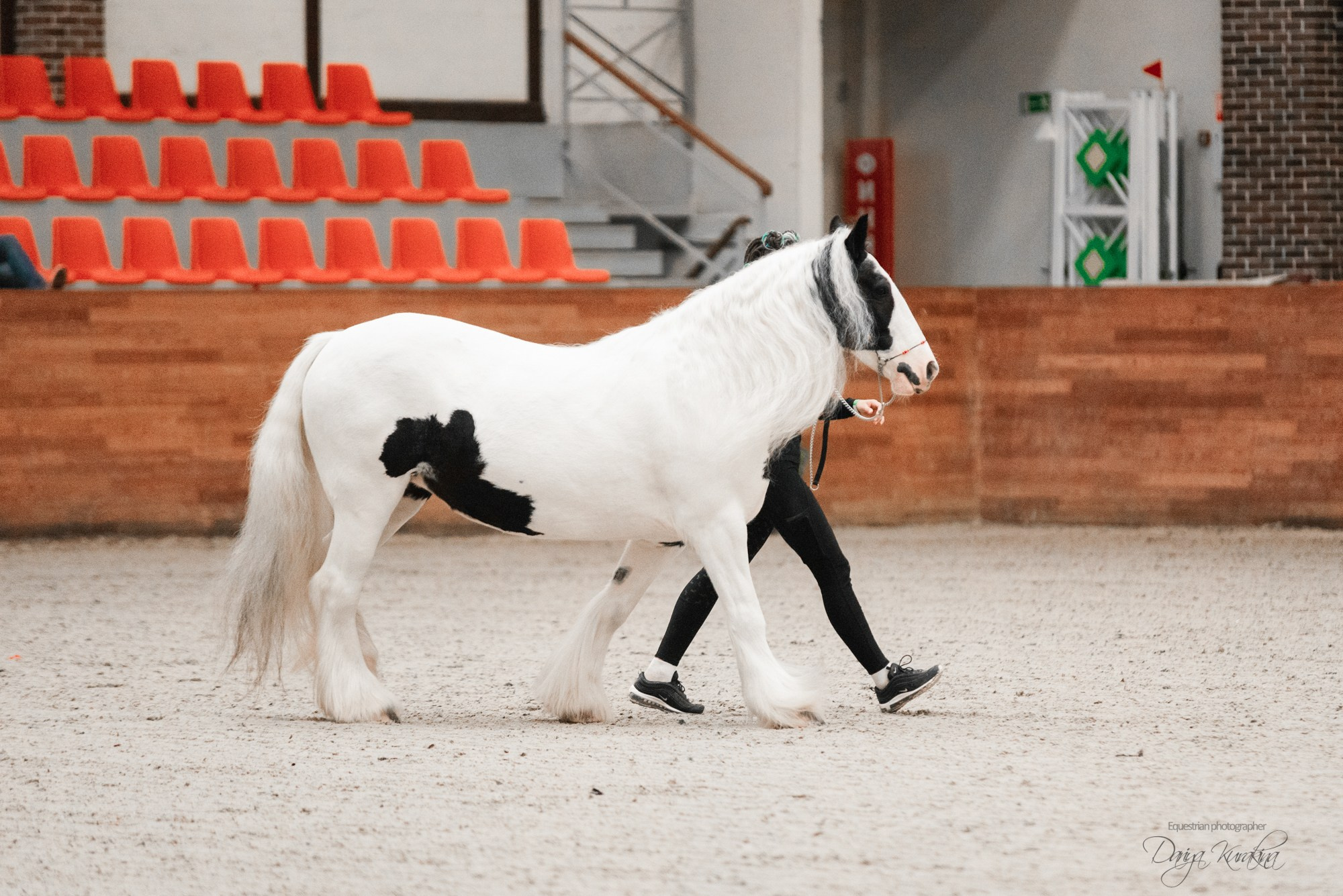 8-я международная выставка Конная Россия. Конный фотограф Куракина Дарья • Фотосессии с лошадьми