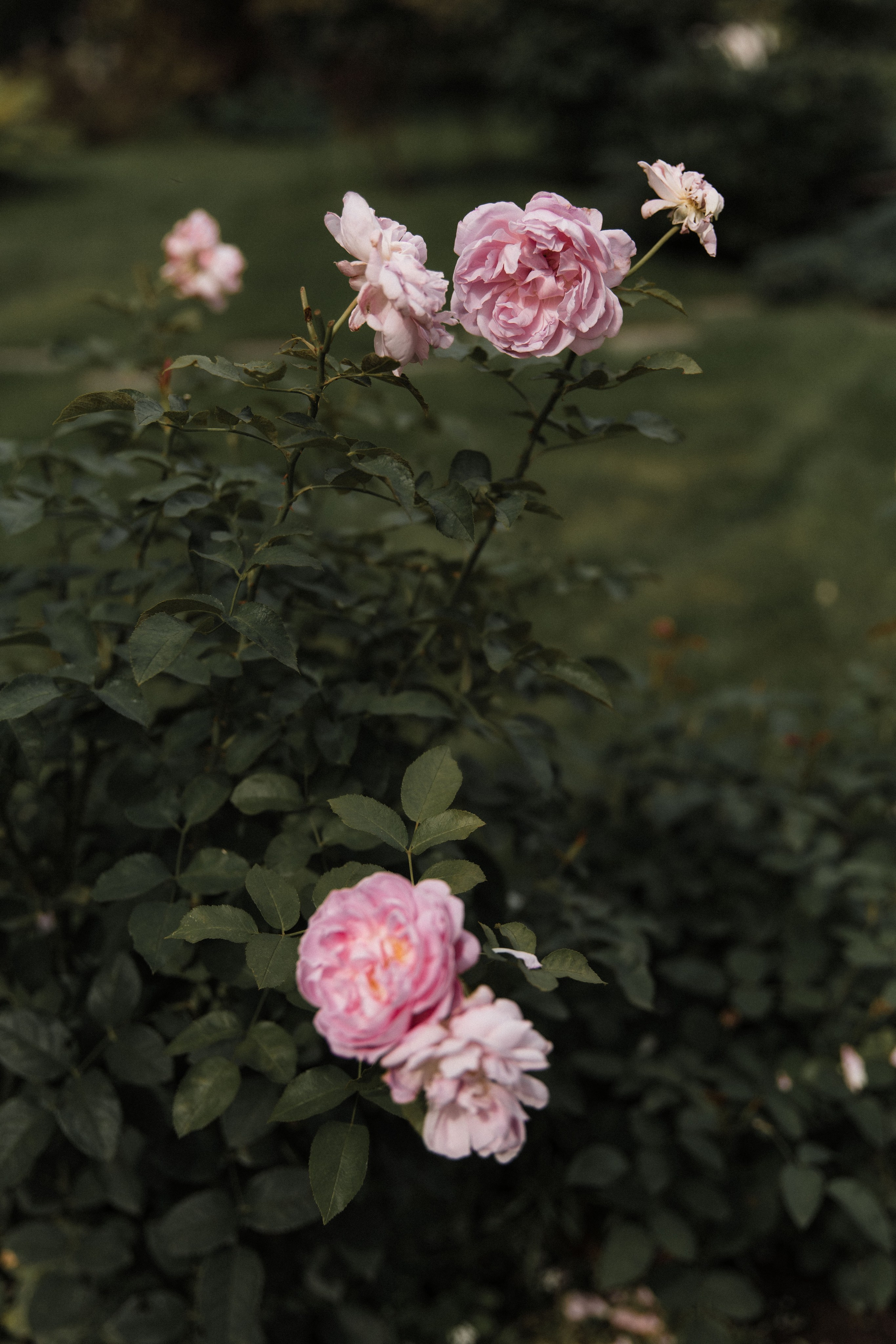К & А Балчуг Кемпински. Женский и свадебный фотограф Москва Елизавета Перова