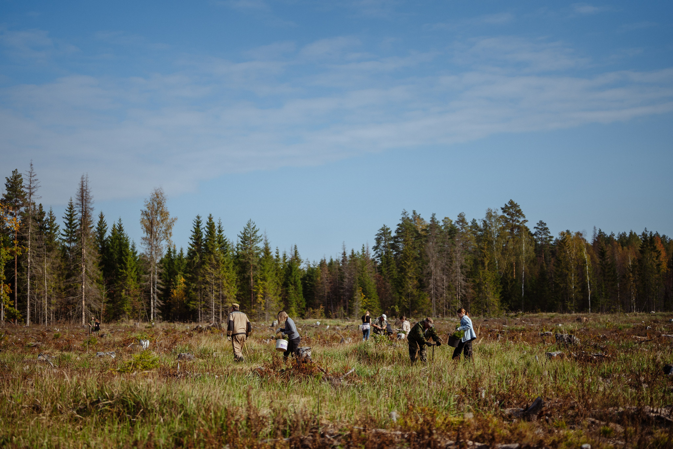 СБЕР · ЭКА · Посадка сеянцев. Владимир Вершинин, тот самый свадебный видеограф