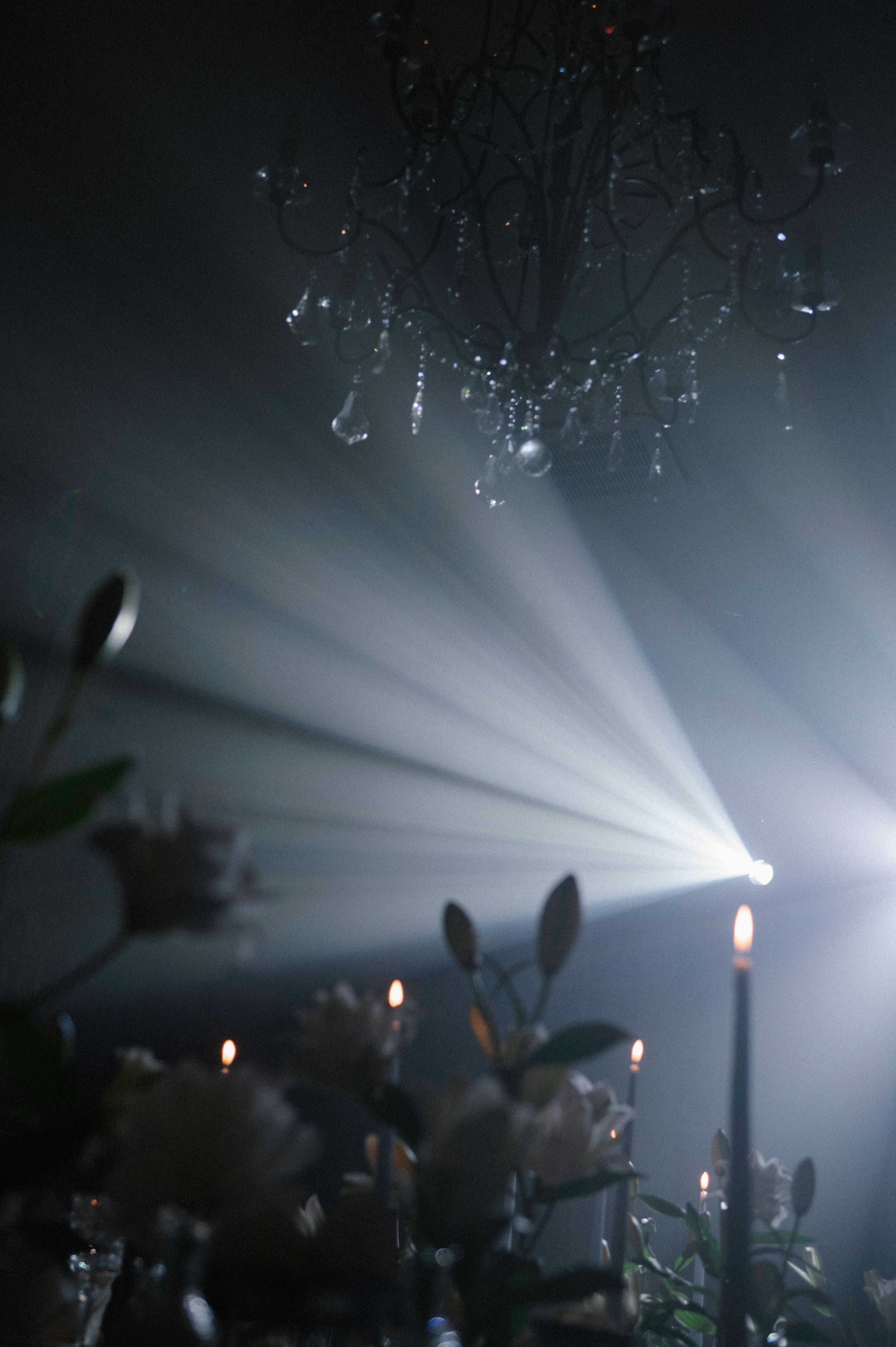 Свадьбы. Фотограф Тверь