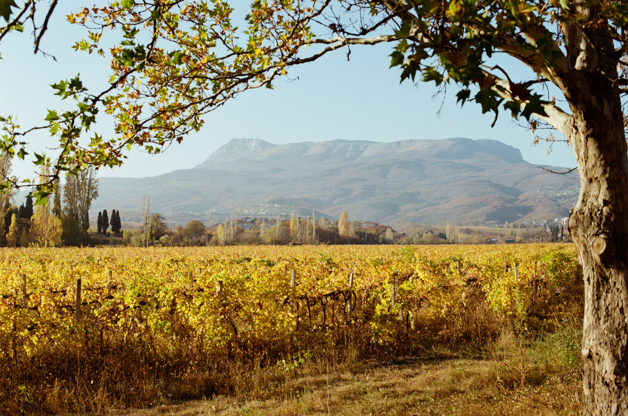 Wherever you will go // ukraine, crimea IV. EVER EXPOSED