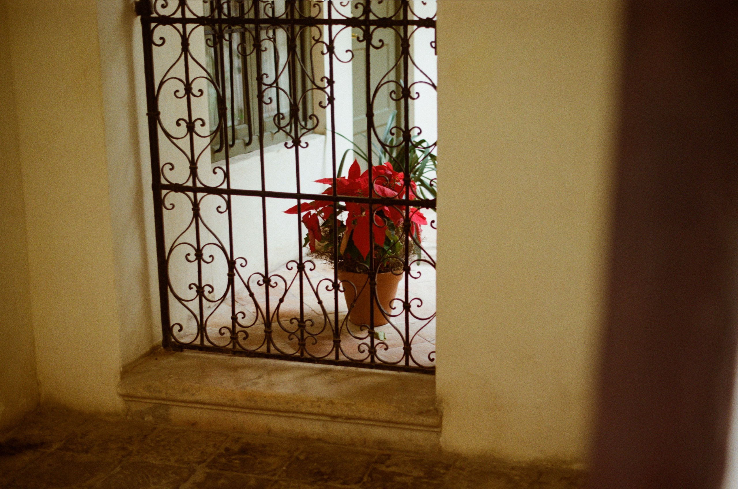 Spanish sahara // spain, seville. EVER EXPOSED