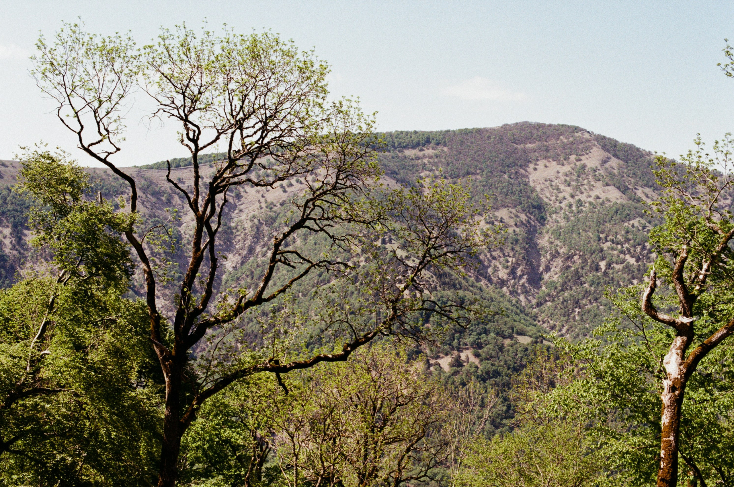 Point of no reply // ukraine, crimea III. EVER EXPOSED