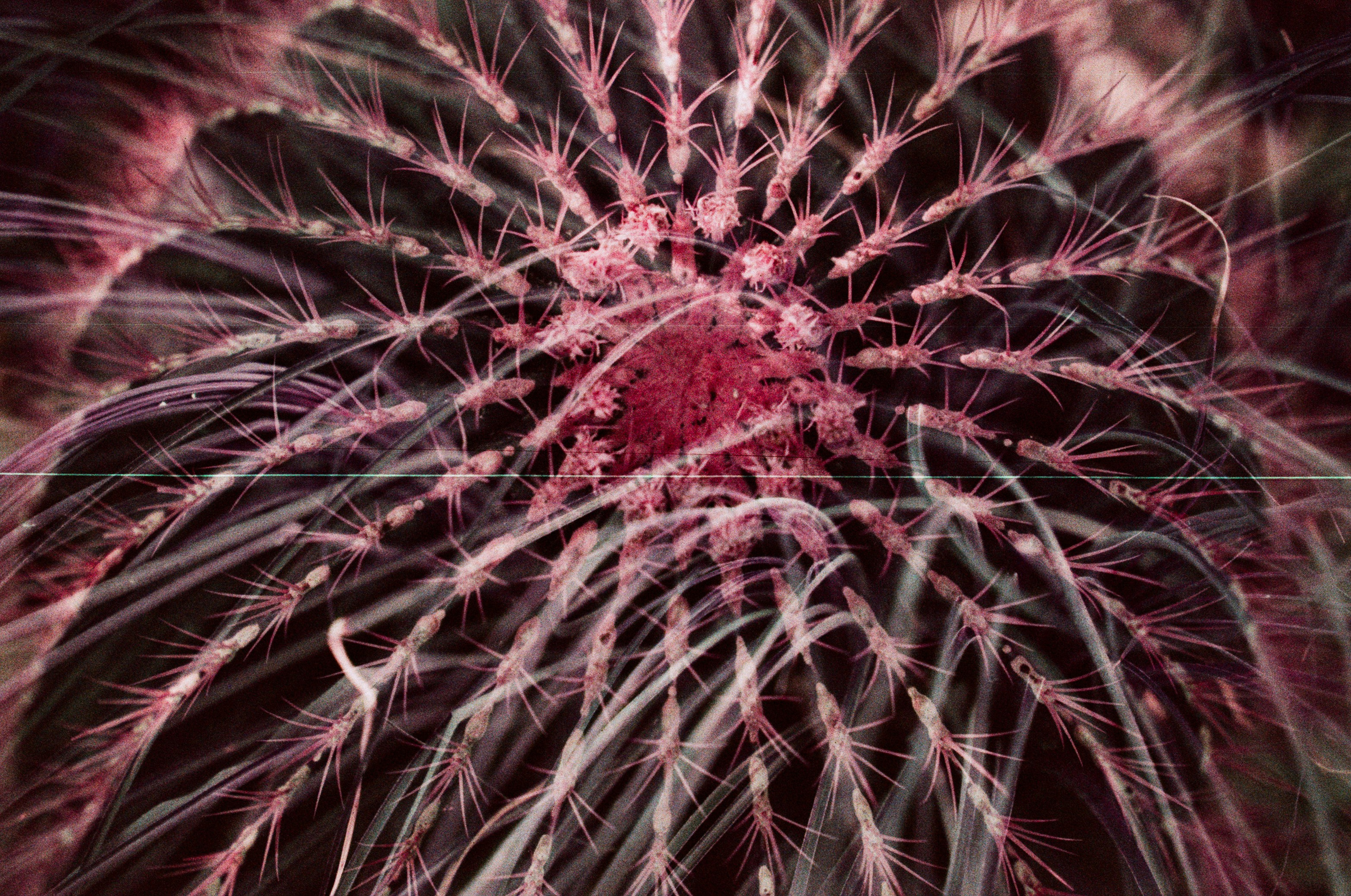 Pain shopping // ukraine, crimea II. EVER EXPOSED