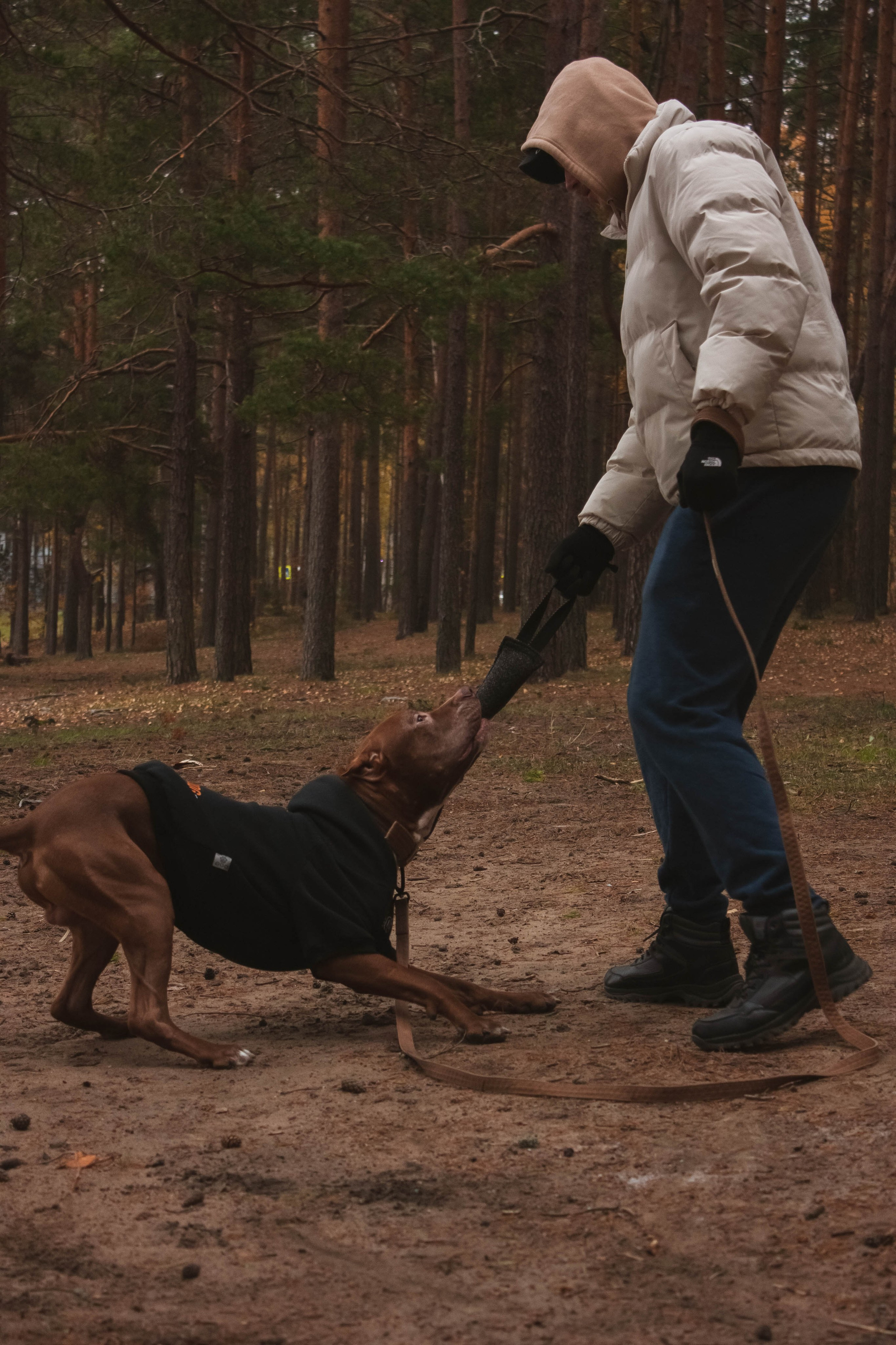 Айрон и Егор. Фотограф-анималист в Санкт-Петербурге Алина Яхонт