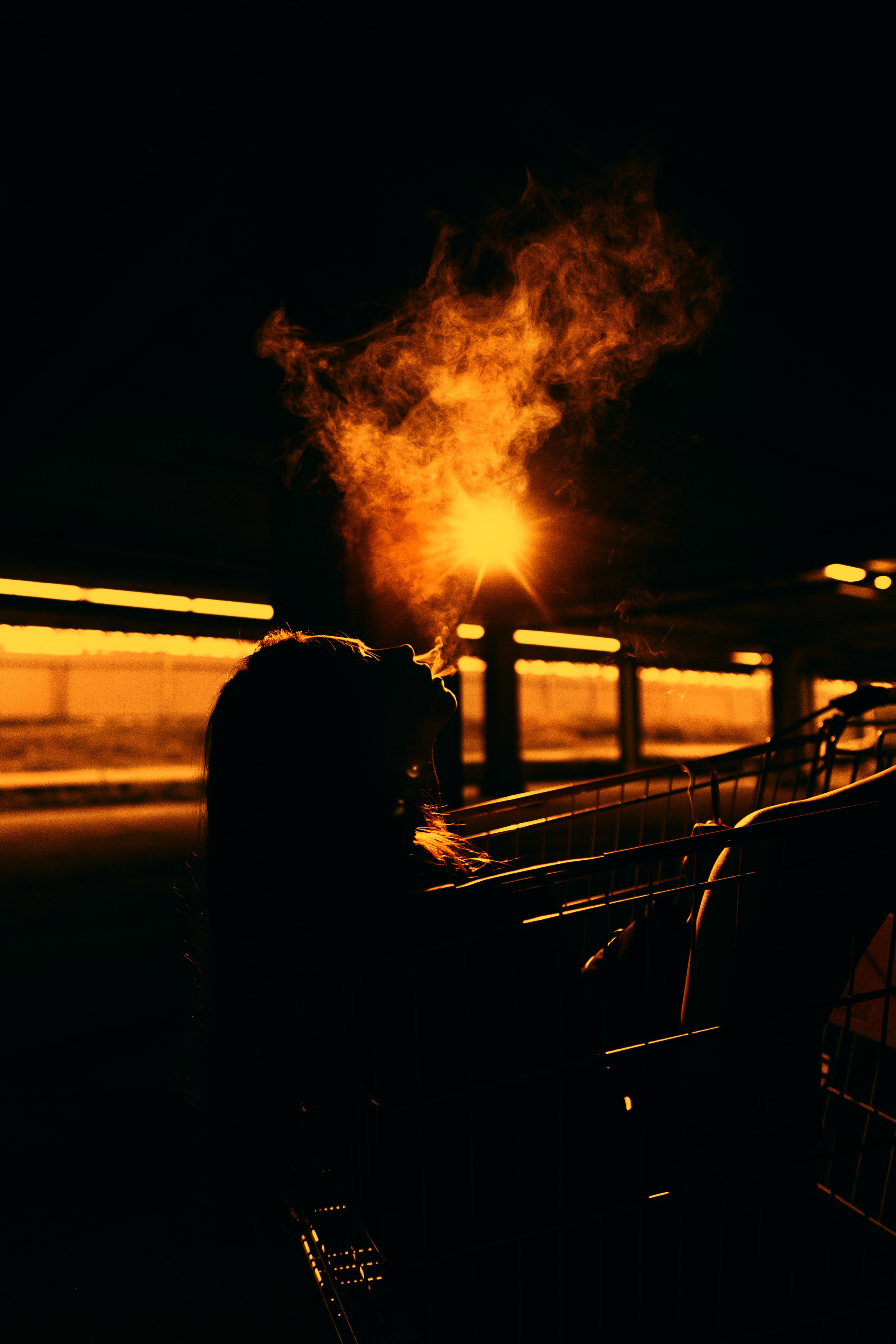 Анастасия. Дмитрий Пропадалин, Нейрофотография