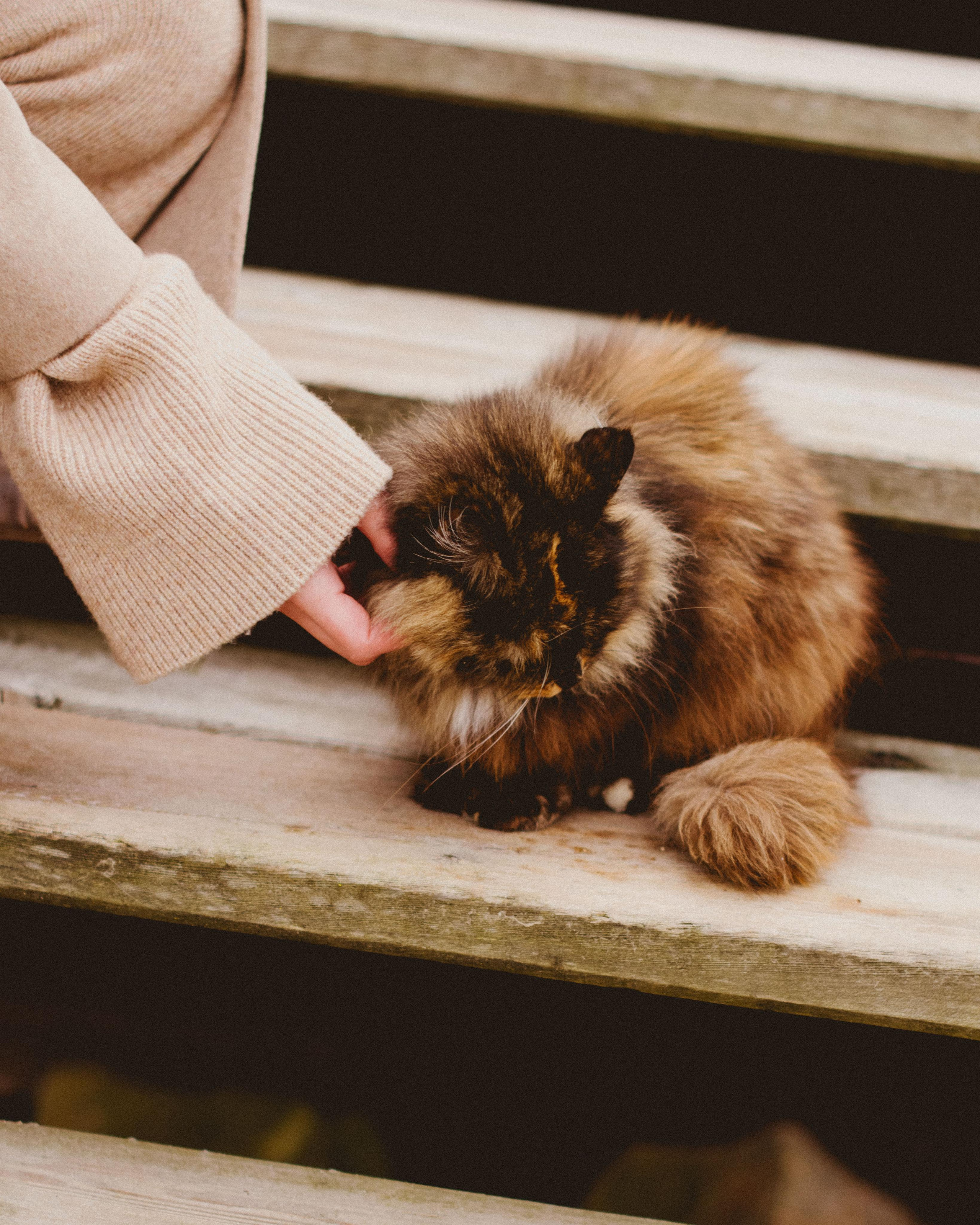 Зоя. Фотограф индивидуальная портретная съёмка Москва