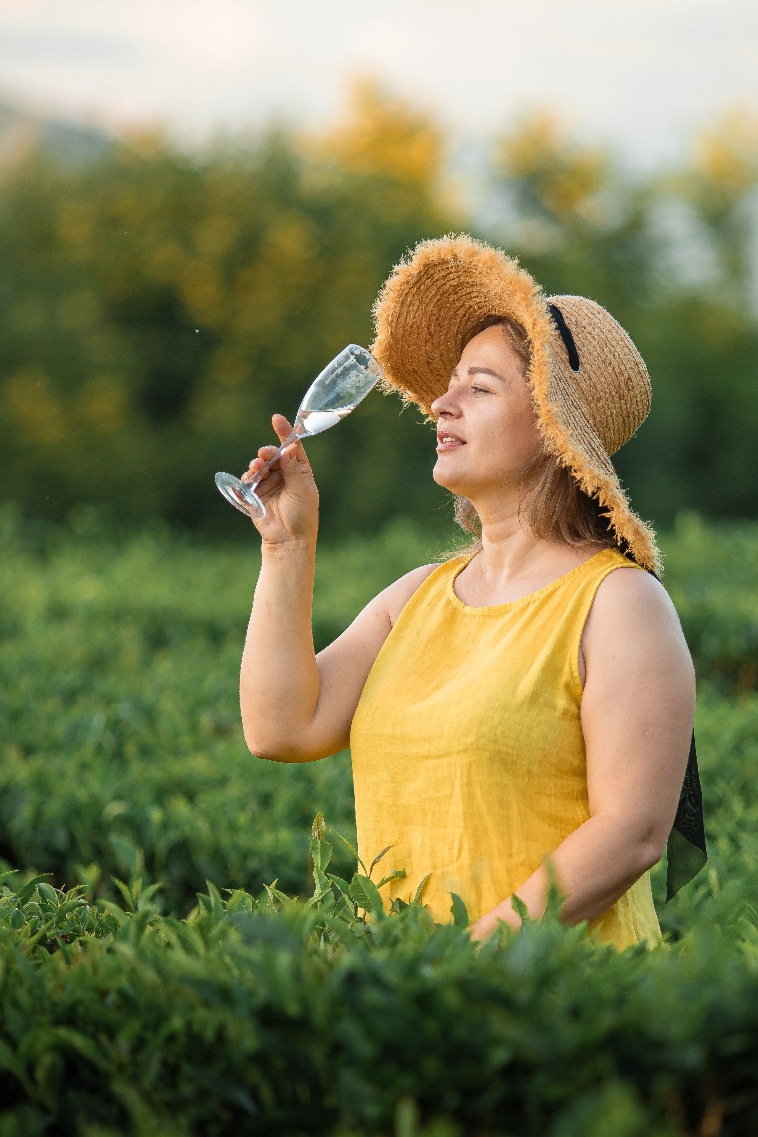 Чайная плантация. Сочи. Семейный и детский фотограф в Краснодарском крае Натали Фищенко