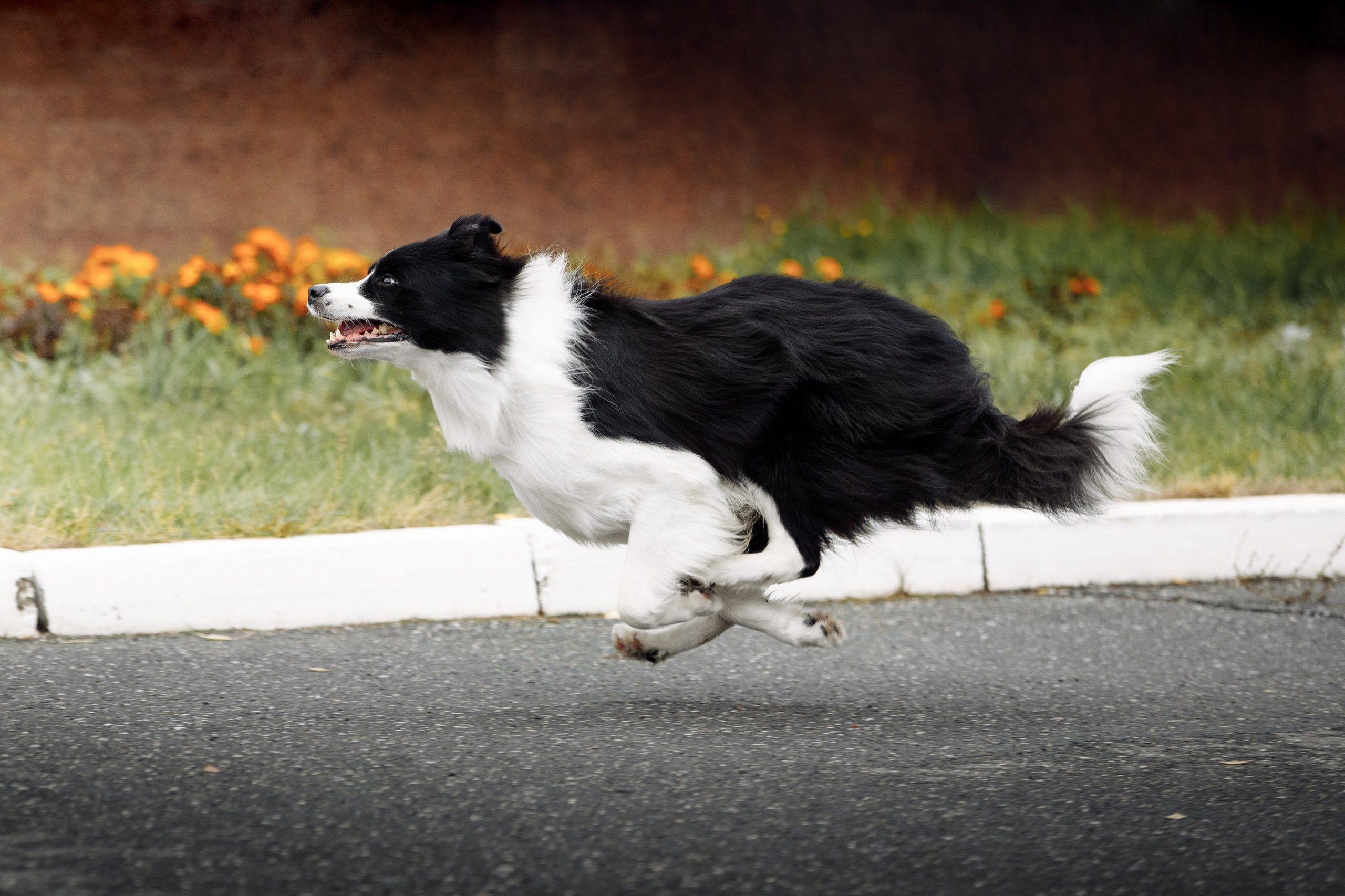 Казань. О нас