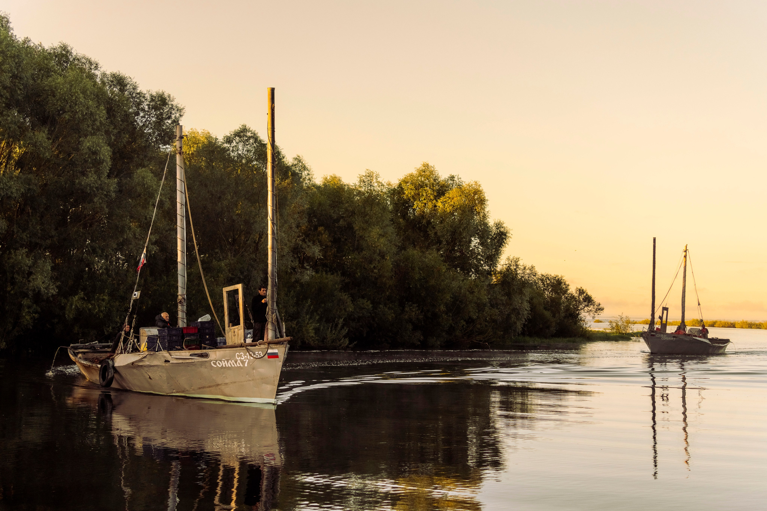 Цветные фотографии. Фотографии Лены Соколовой