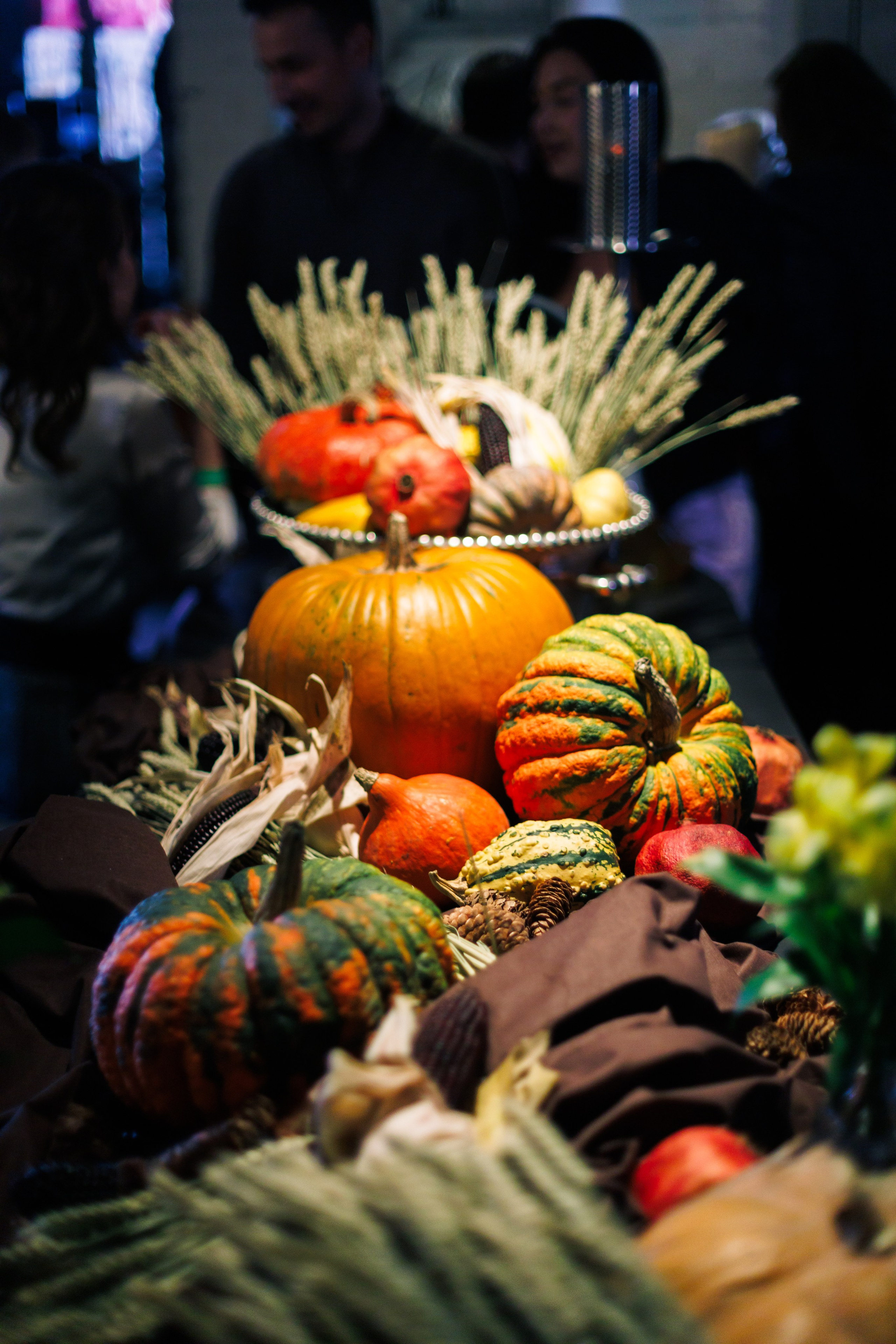 Стендап. Фотограф мероприятий и спорта: юбилеев, дней рождений и корпоративов из Москвы