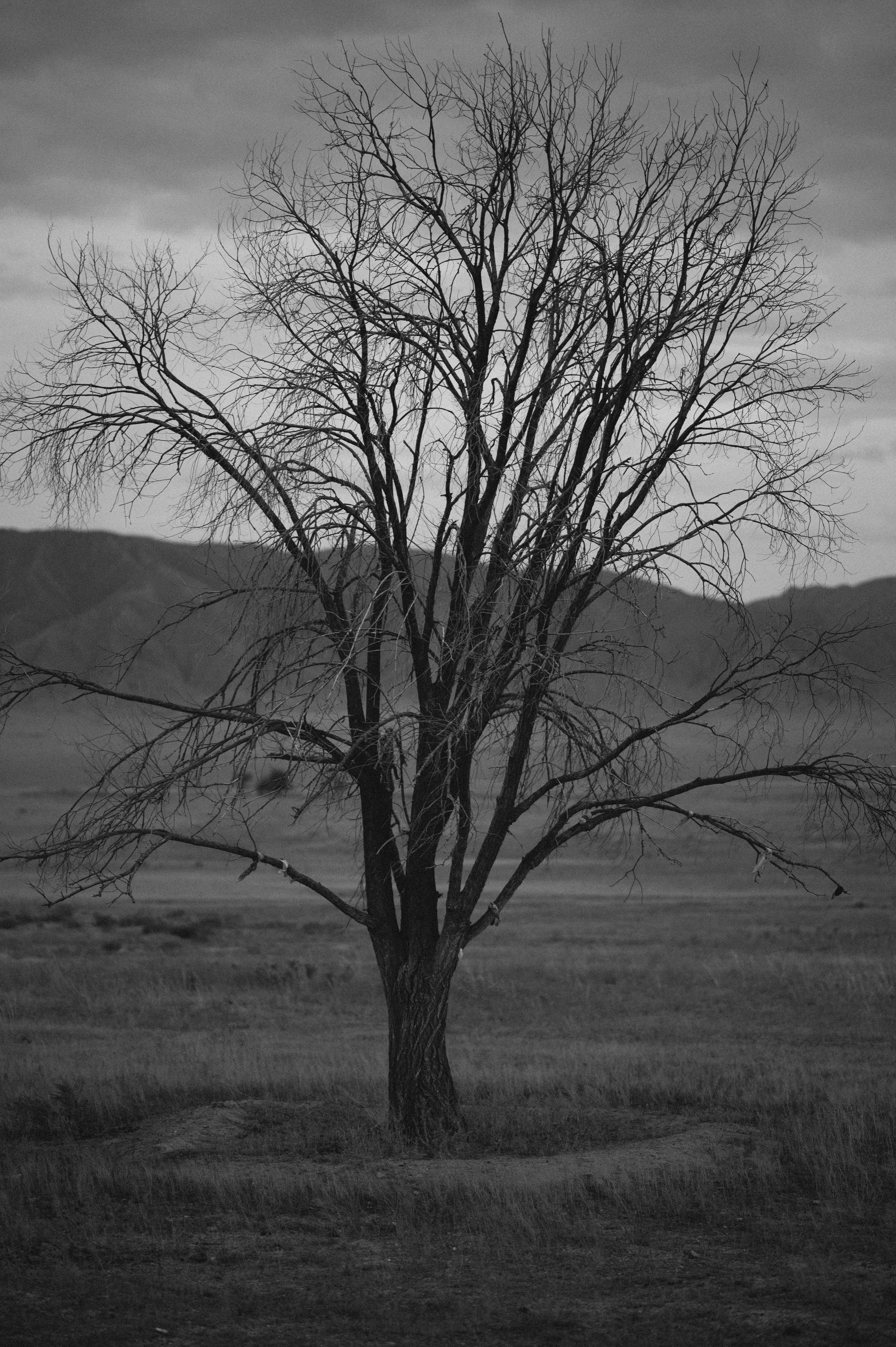 Чарын-Кольсай: лето 2024. Фотограф в Алматы — Дарья Фёдорова