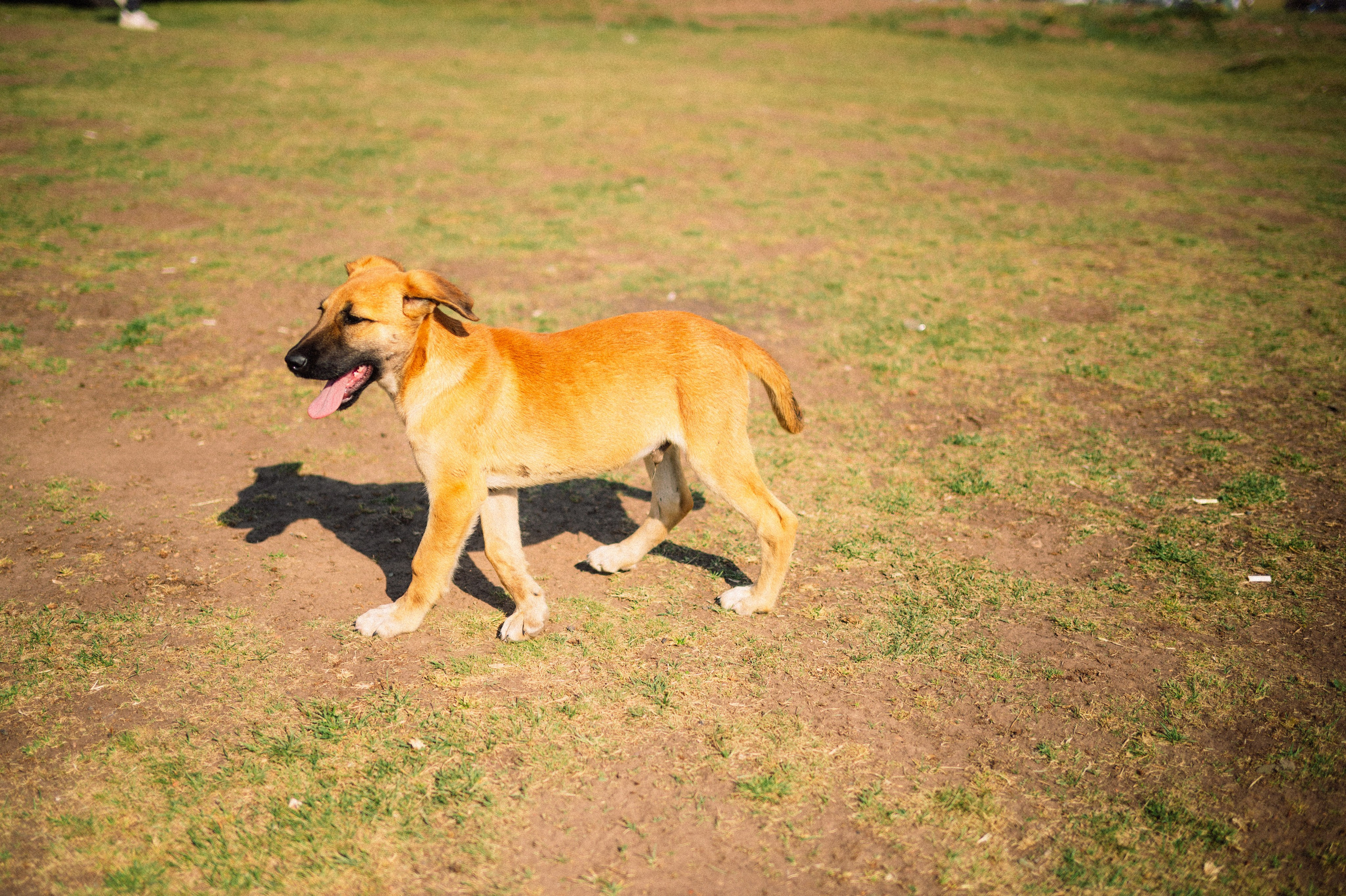 Плато Ассы: июль 2025. Фотограф в Алматы — Дарья Фёдорова
