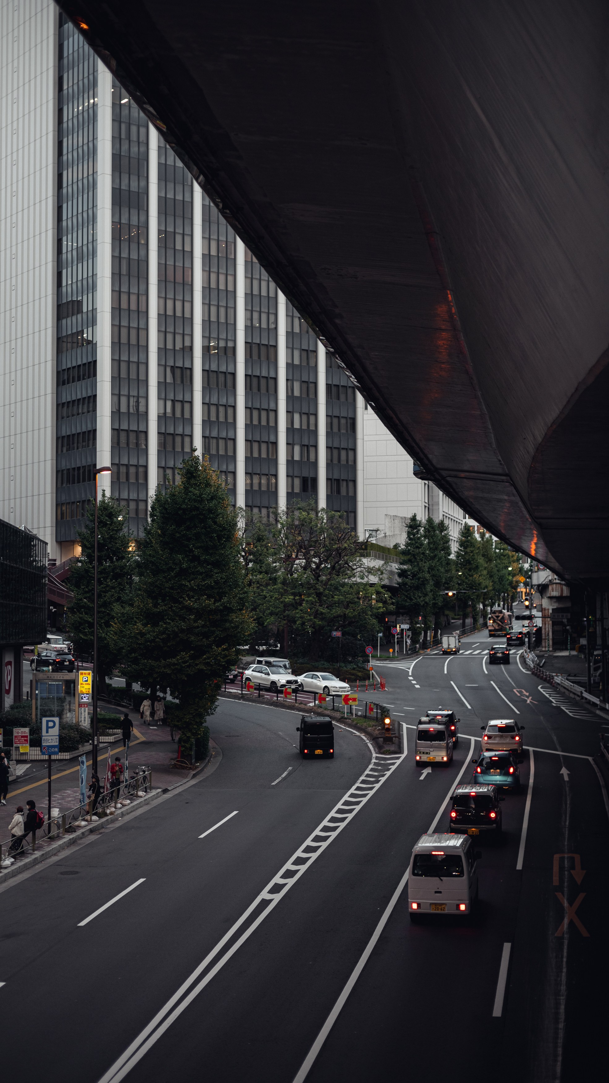 Japan. Photographer in Tokyo Anatolii Ozarto