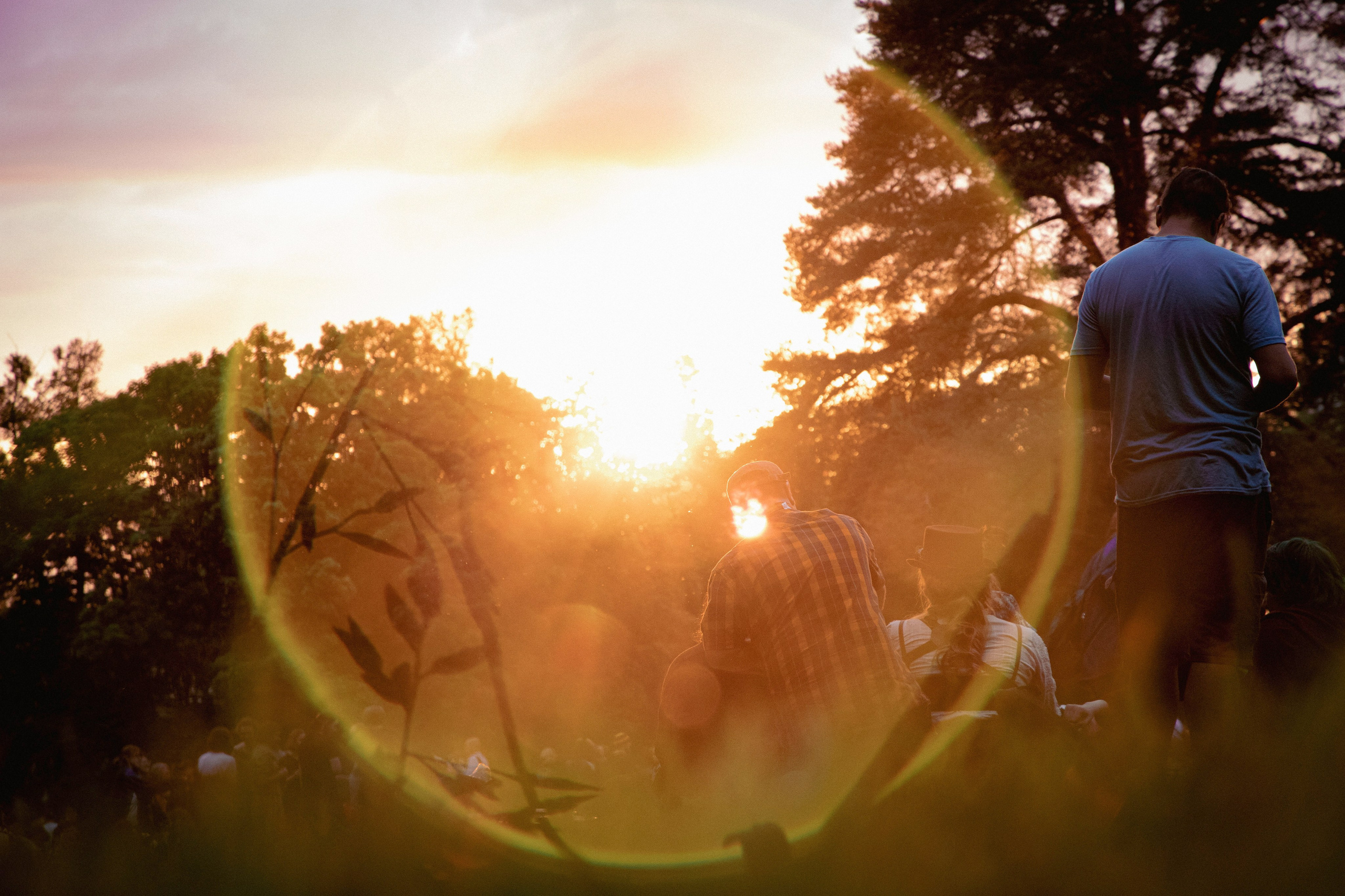 Хиппятник. Фотограф Алексей Шуля — портфолио