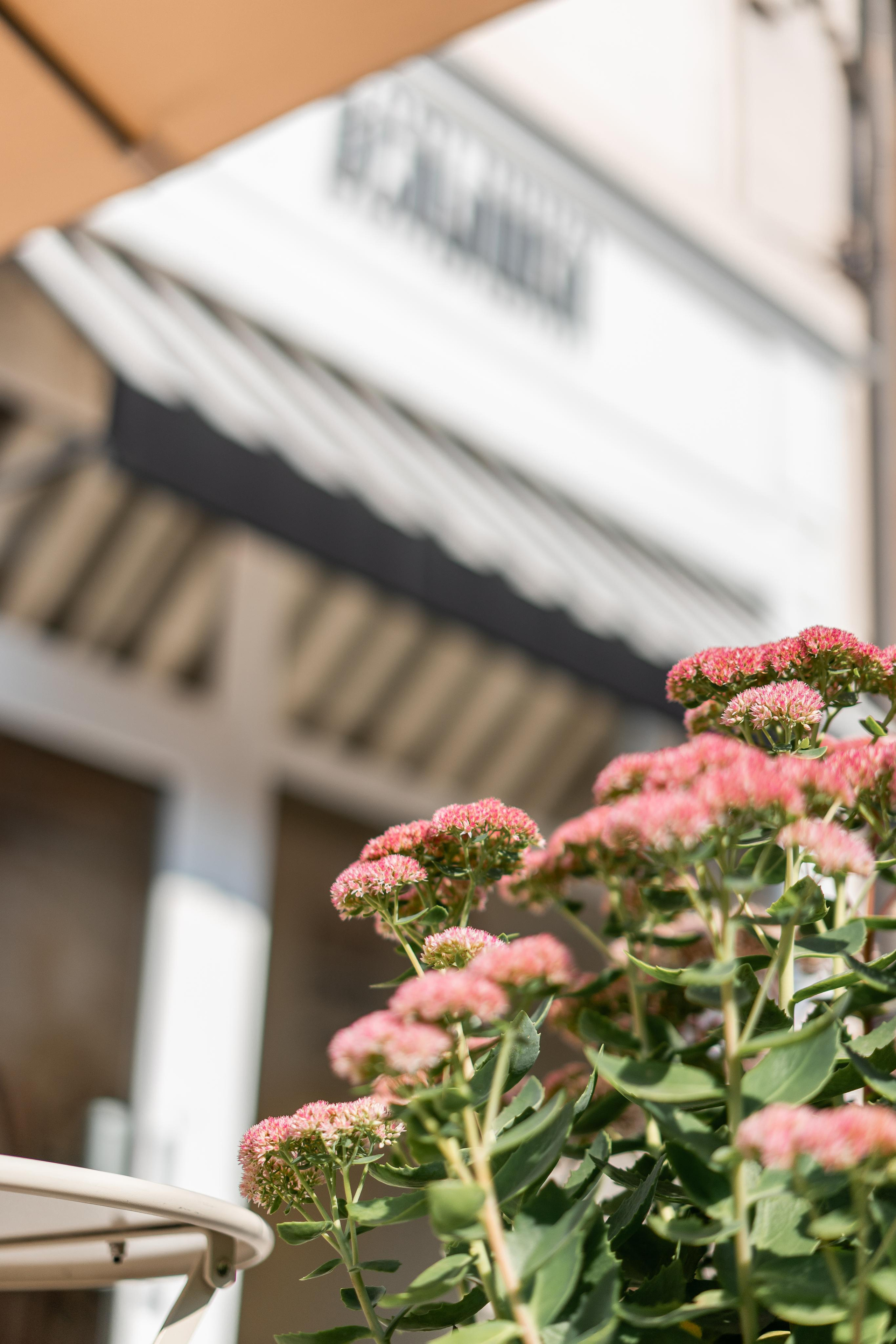 Рабочая фотосессия. Семейный и детский фотограф во Владивостоке Мария Гой