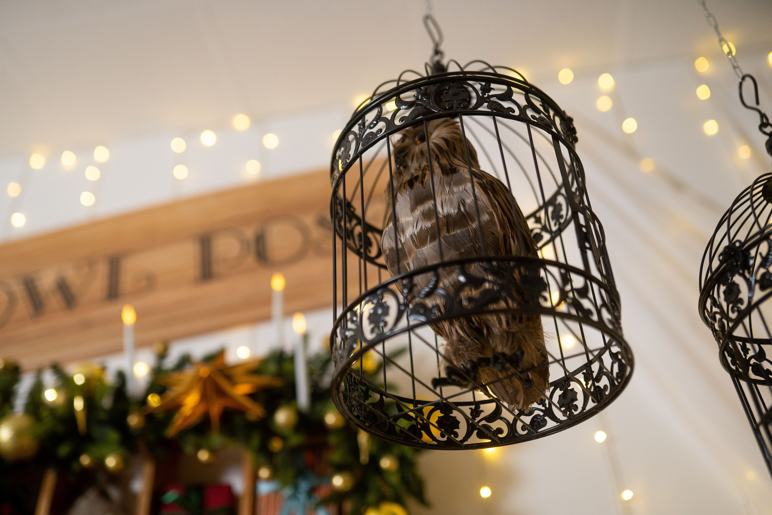 Зал Детский. Фотограф г. Хабаровск. Семейные и индивидуальные съёмки