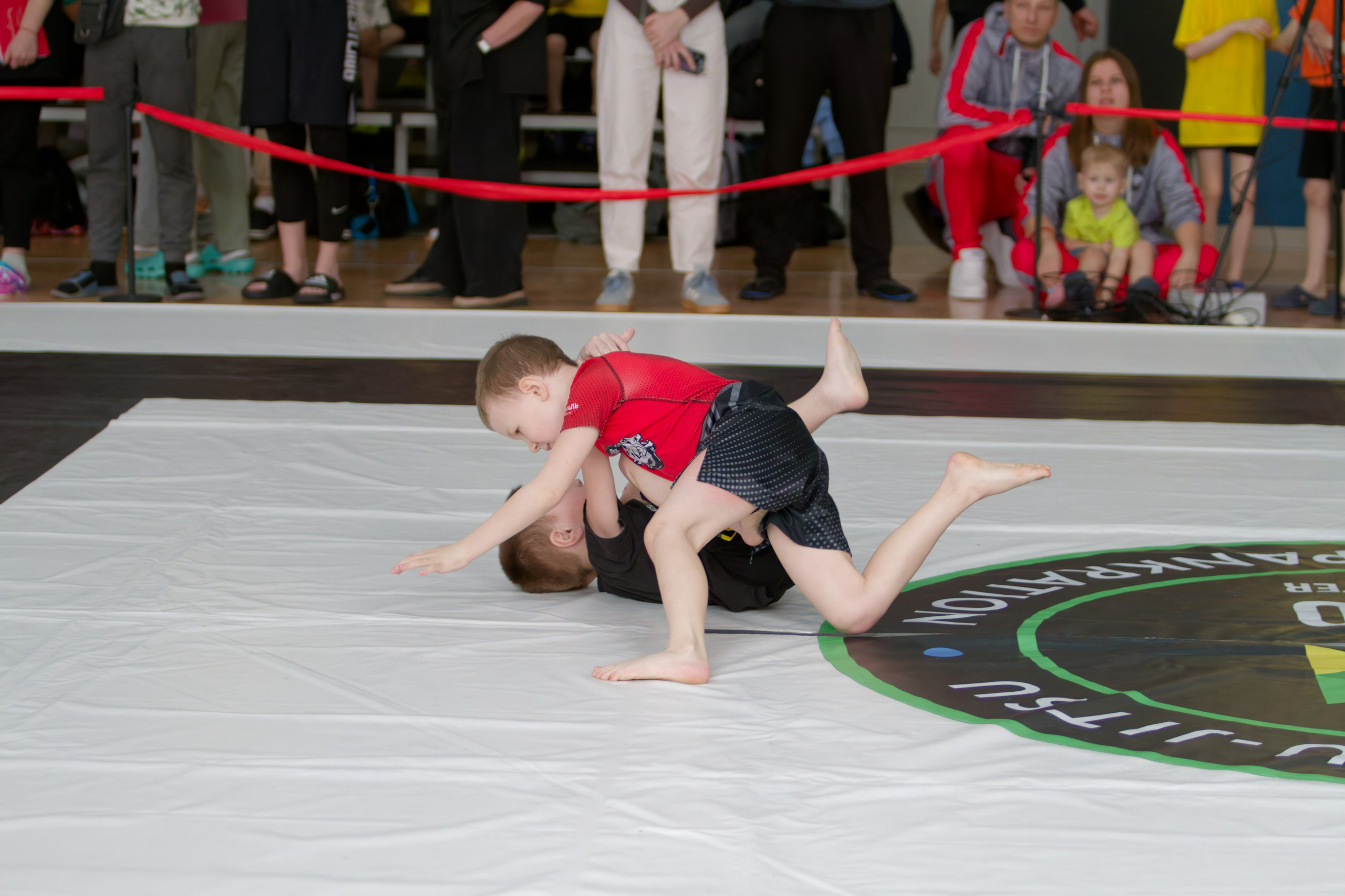 Борьба. Джиу-джитсу 26.04.2025. Репортажный и спортивный фотограф в г. Пермь Зильберг Павел