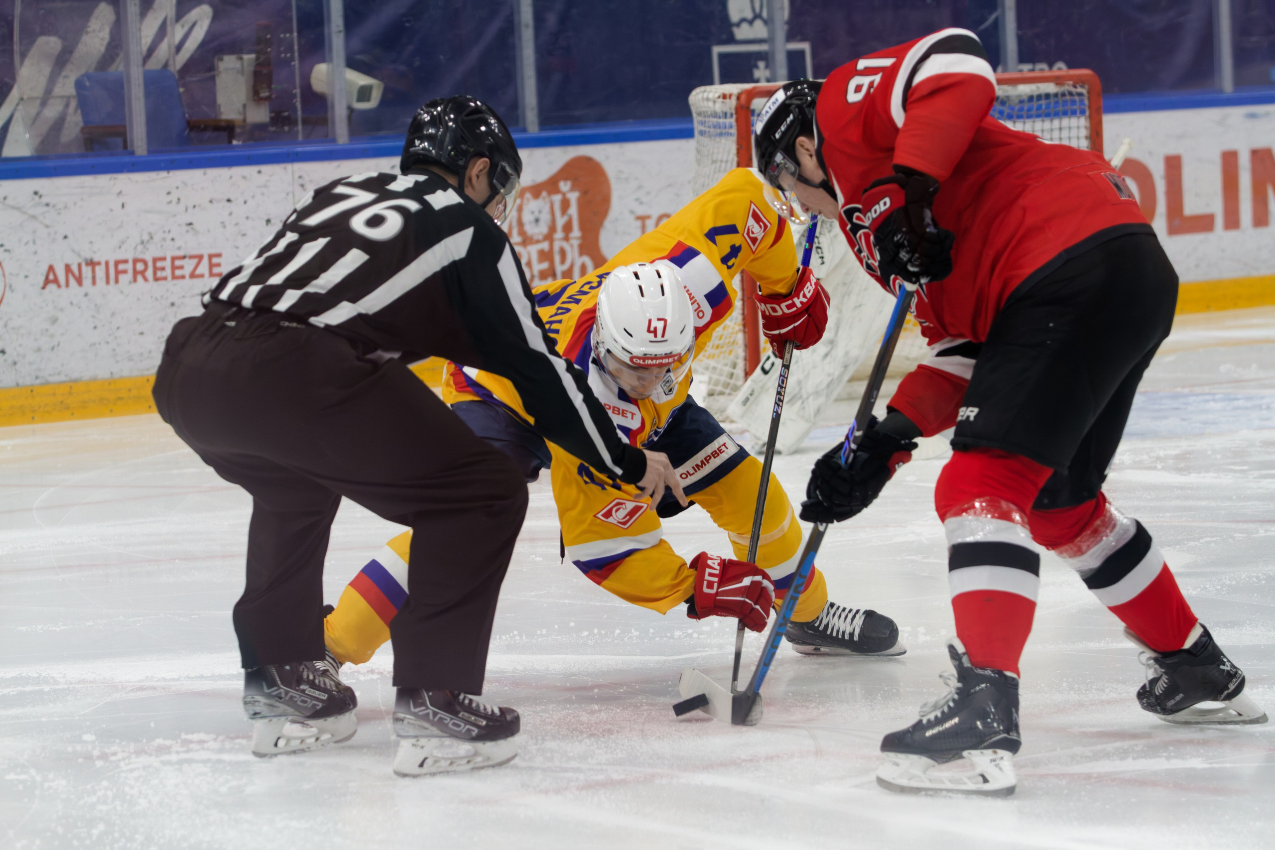 Хоккей. Молот-Химик 12.02.2025. Репортажный и спортивный фотограф в г. Пермь Зильберг Павел